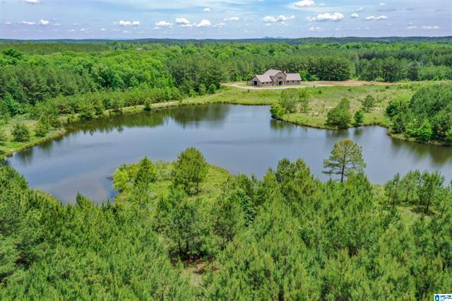 Columbiana, Alabama, 35051, United States, 3 Bedrooms Bedrooms, ,2 BathroomsBathrooms,Residential,For Sale,1975847