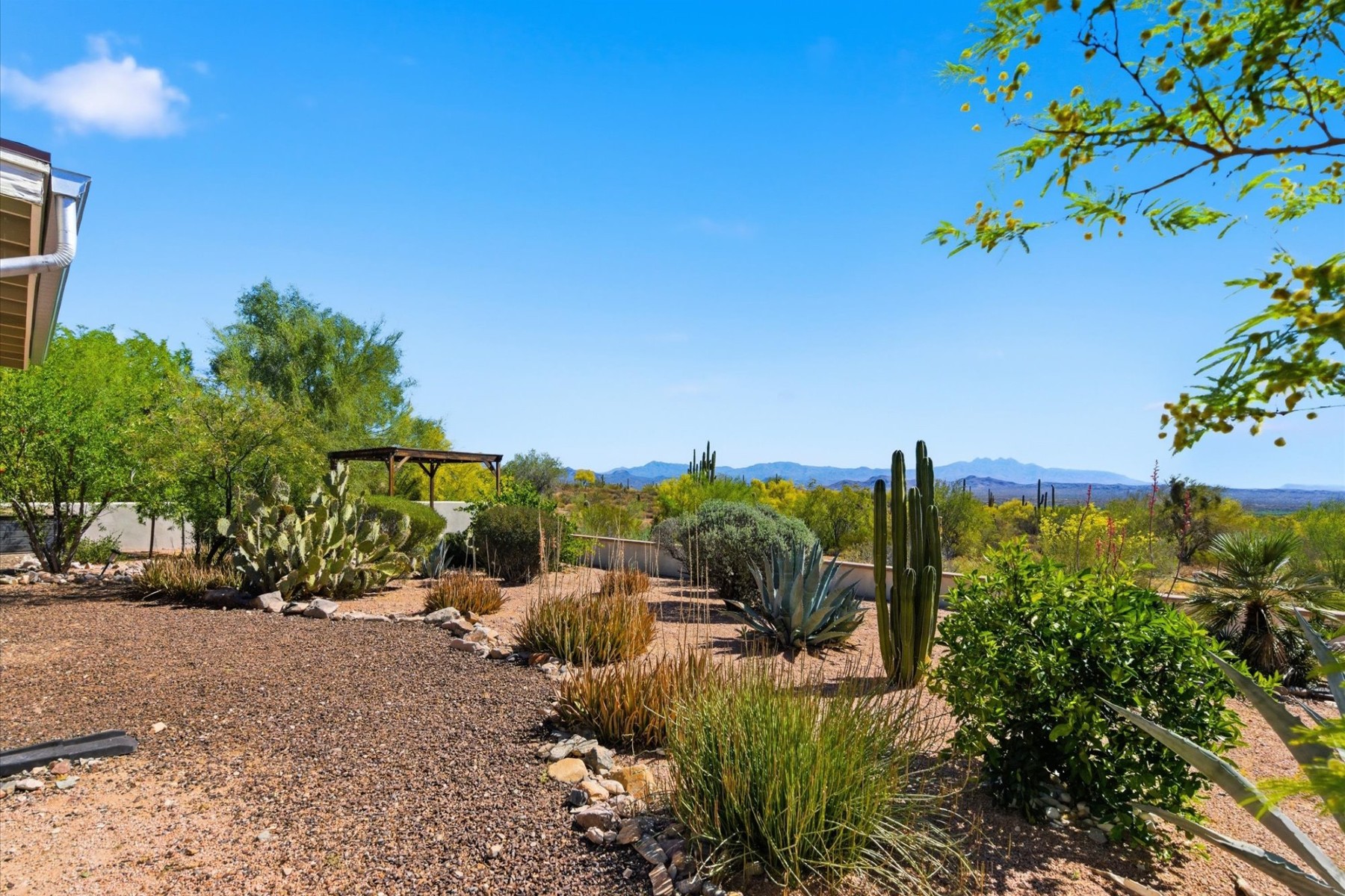  14433 N San Carlos Drive¦Fountain Hills, AZ - 物件實景