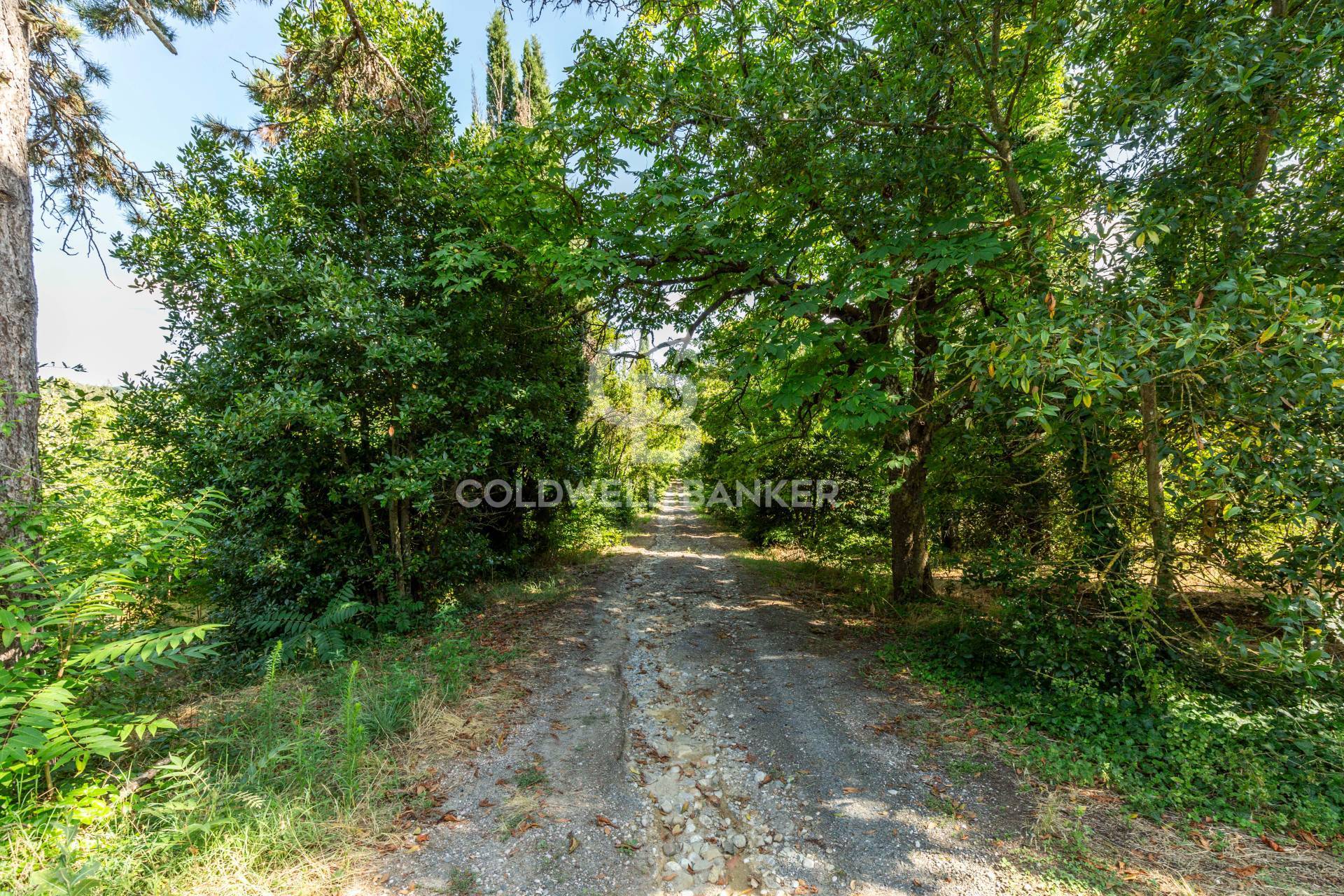 Strada Poggi, Orvieto, Terni, 05018, IT, 20 Bedrooms Bedrooms, ,10 BathroomsBathrooms,Residential,For Sale,Strada Poggi,1668933