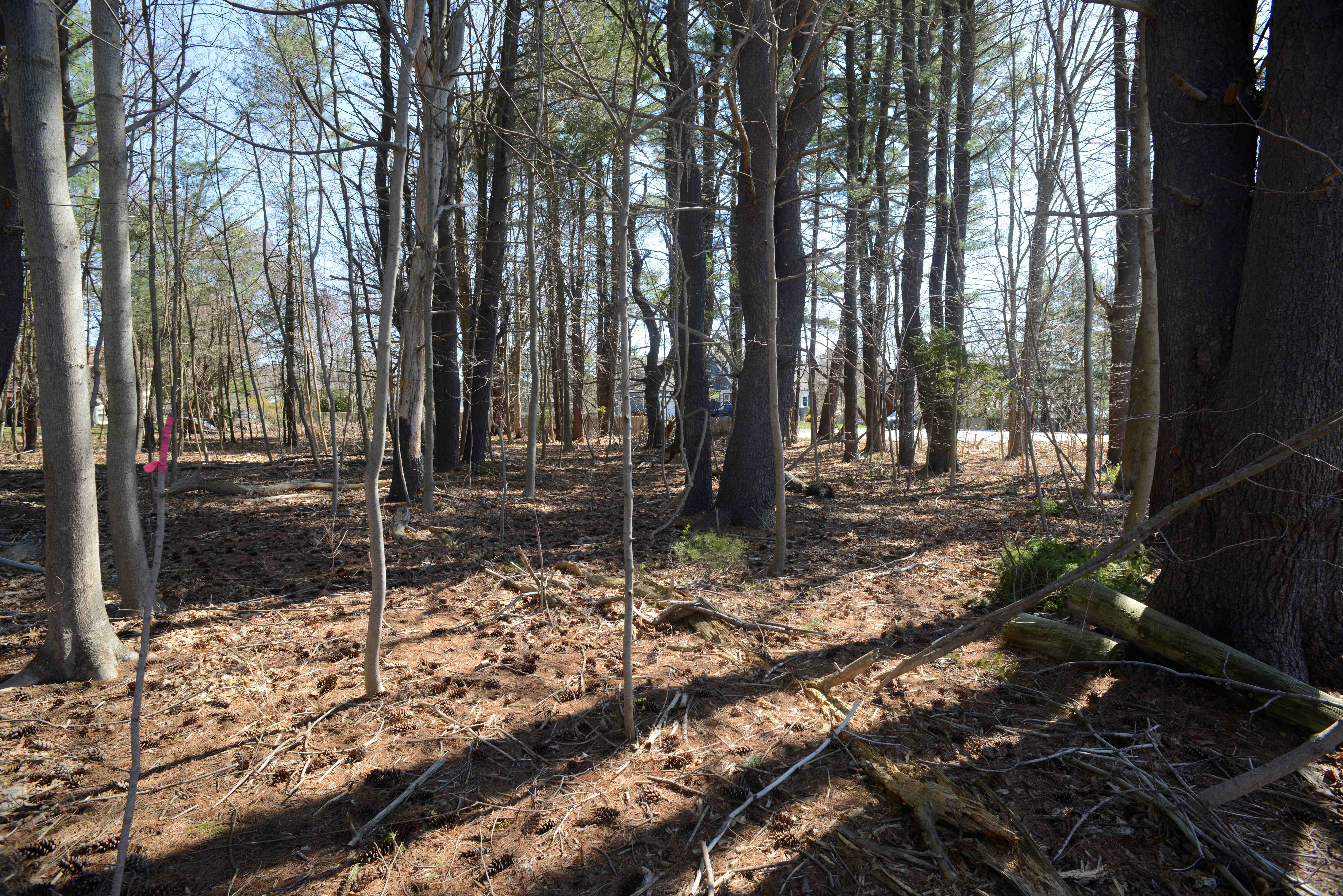 Hampton, New Hampshire, 03842, United States, ,Land,For Sale,1777257