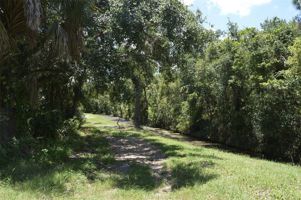 Edgewater, Florida, 32141, United States, ,Land,For Sale,1723256