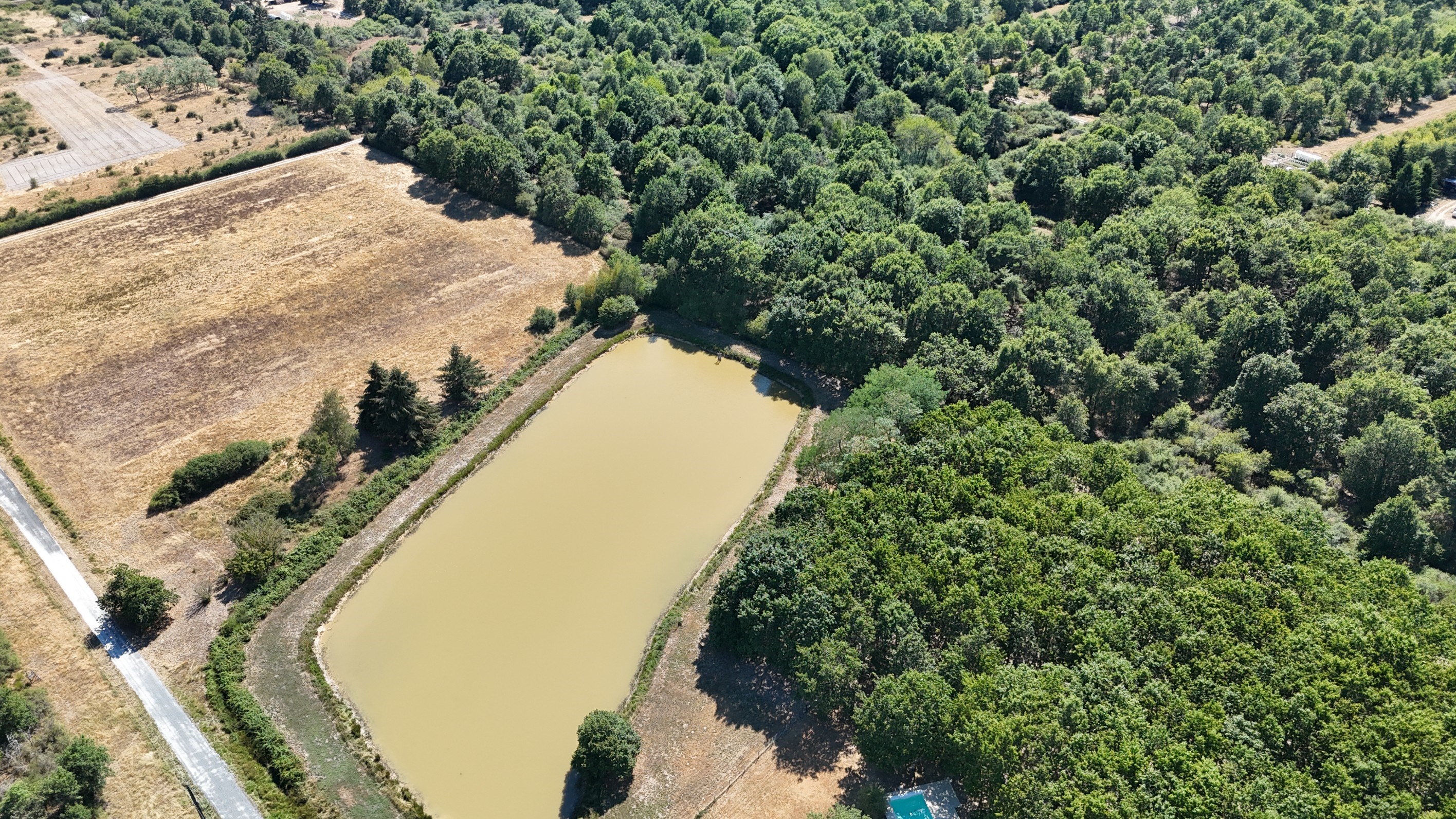  Exceptional Country Estate in the Heart of Sologne – Over 18 Hectares of Unspoi… - 物件實景