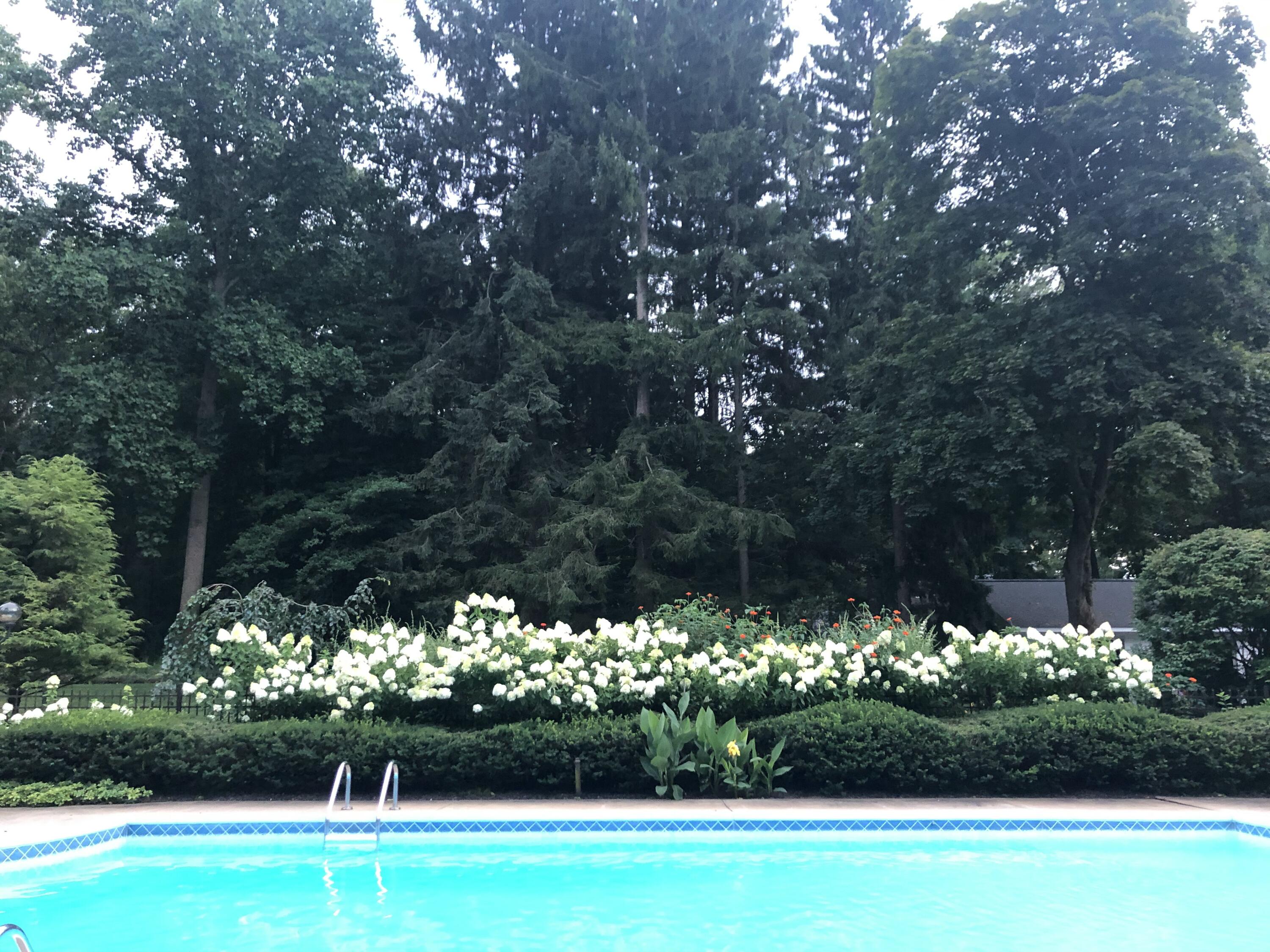 Fennville, Michigan, 49408, United States, 9 Bedrooms Bedrooms, ,10 BathroomsBathrooms,Residential,For Sale,1992421