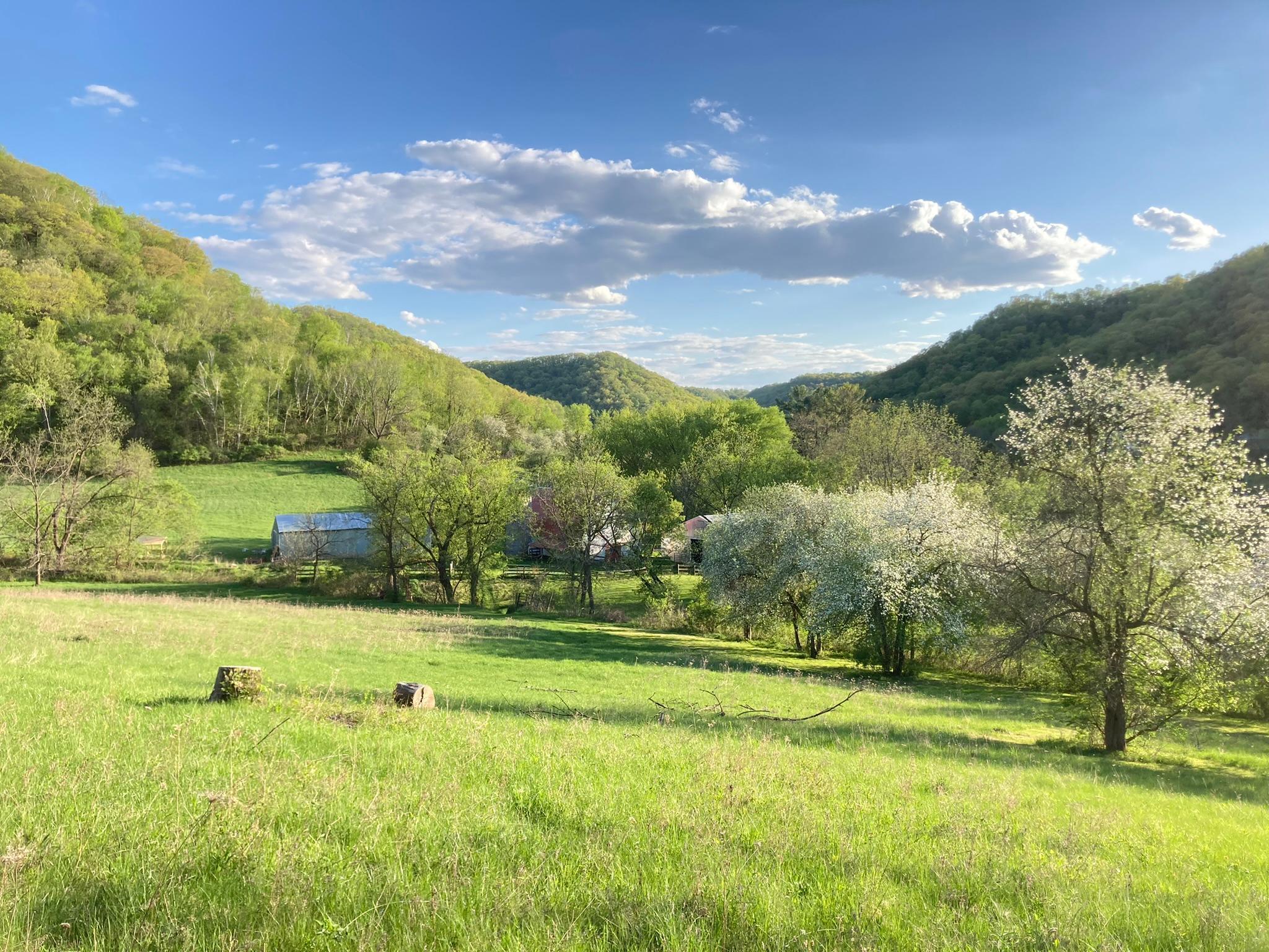 Winona, Minnesota, 55987, United States, 5 Bedrooms Bedrooms, ,2 BathroomsBathrooms,Residential,For Sale,2005788