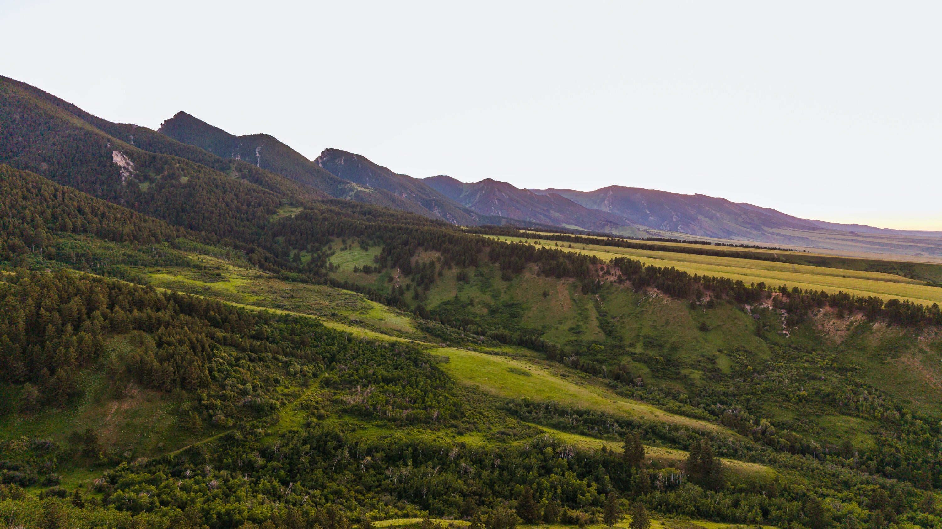 Big Horn, Wyoming, 82833, United States, ,Residential,For Sale,2011314