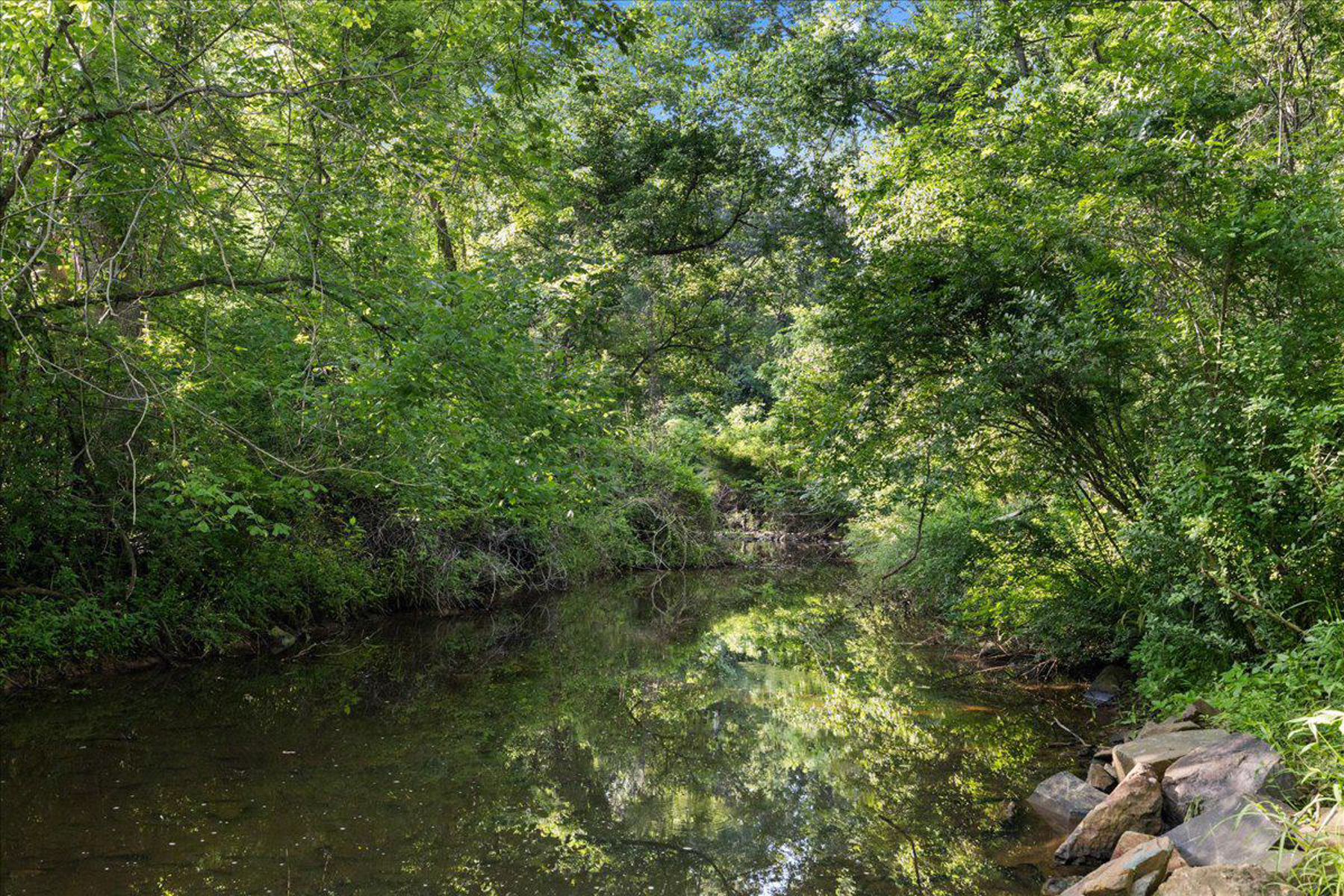  8374 Elway Lane, Warrenton, VA, 20186 - 物件實景