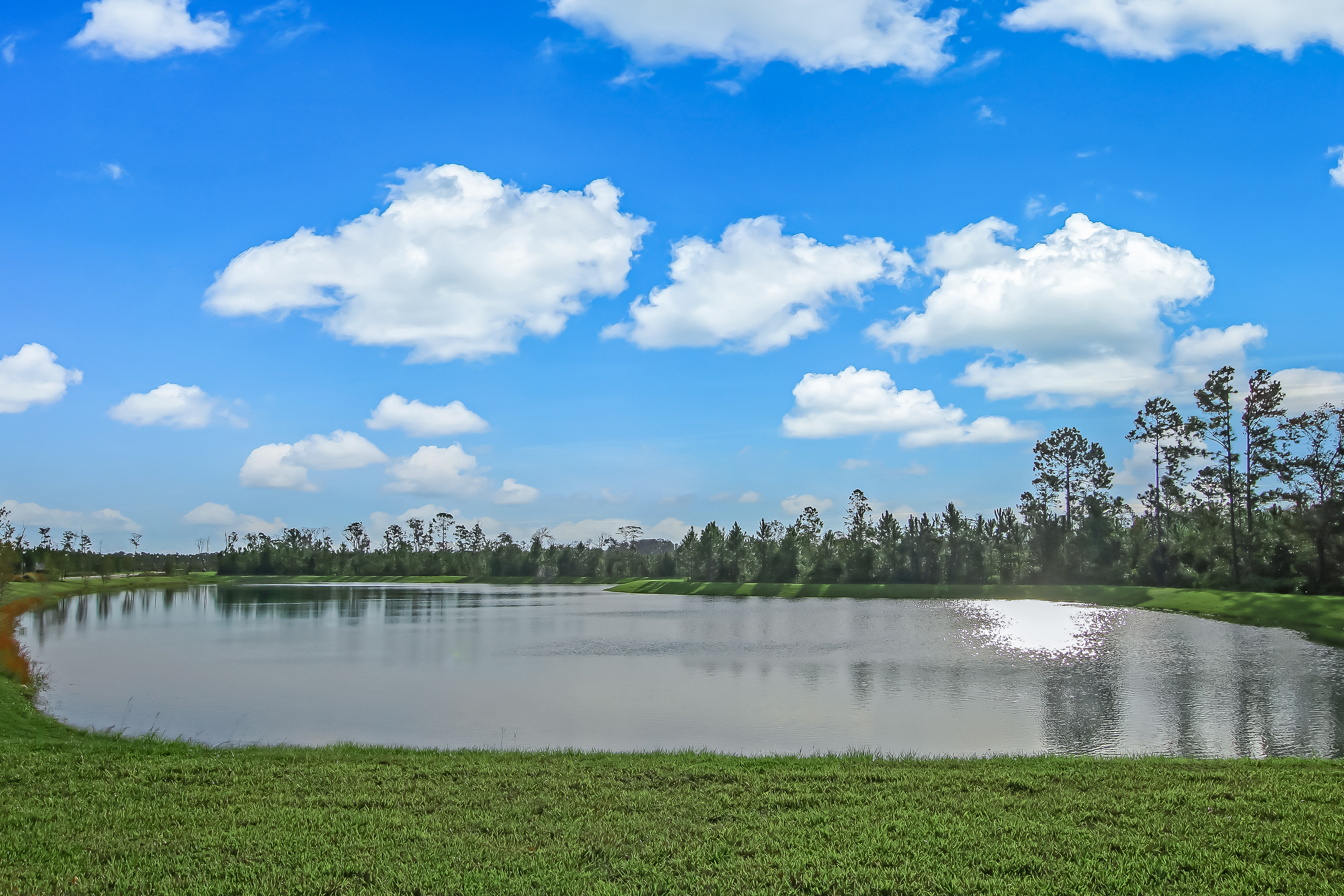  11996 Cabana Road, Jacksonville, FL, 32256 - 物件實景