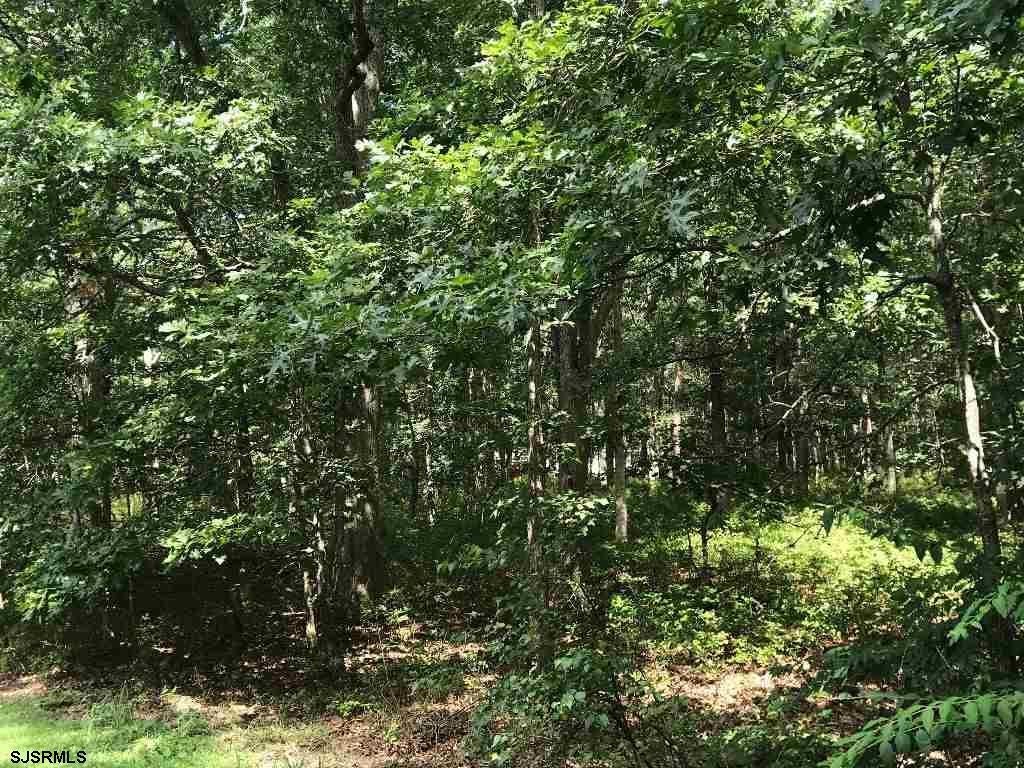New York Road, Galloway Township, New Jersey, 08205, United States, ,Land,For Sale,New York Road,1434182