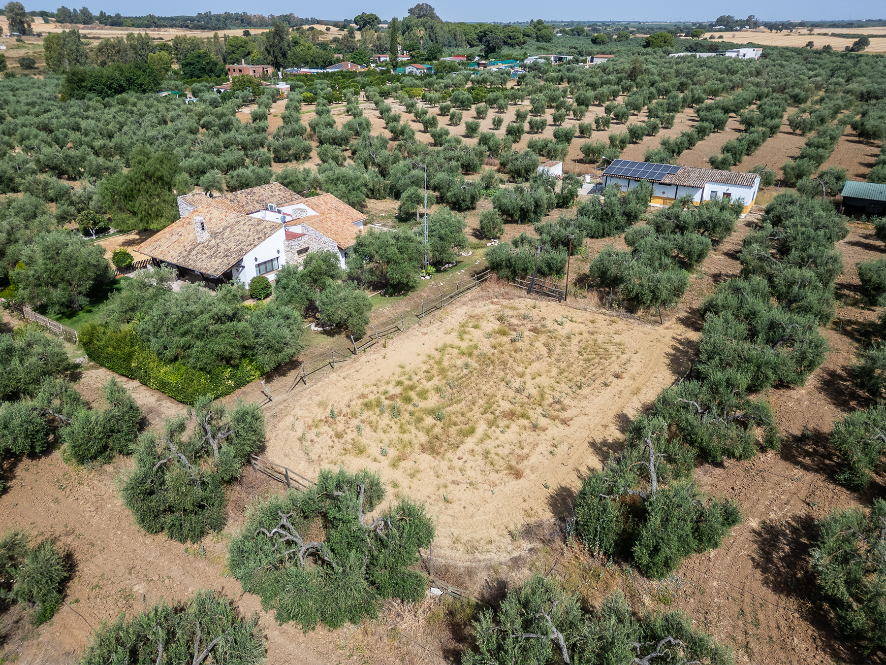  Exclusive equestrian estate next to the Pre-Coto de Doñana - 物件實景
