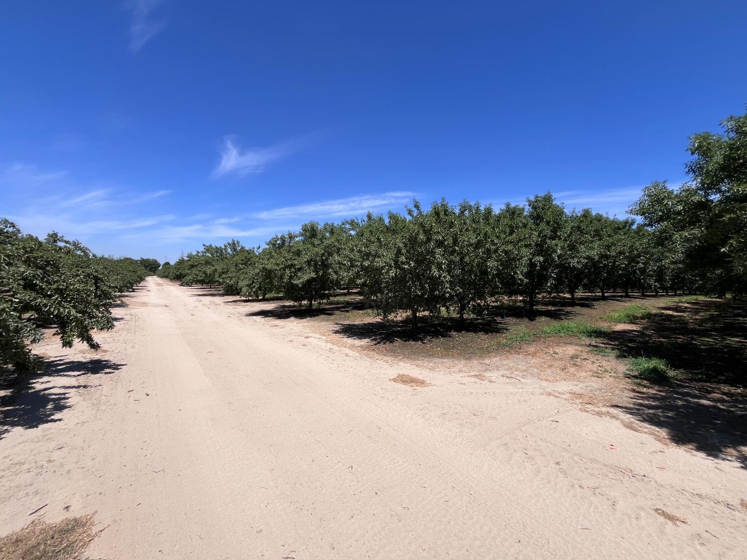 Livingston, California, 95334, United States, 4 Bedrooms Bedrooms, ,3 BathroomsBathrooms,Residential,For Sale,1975641