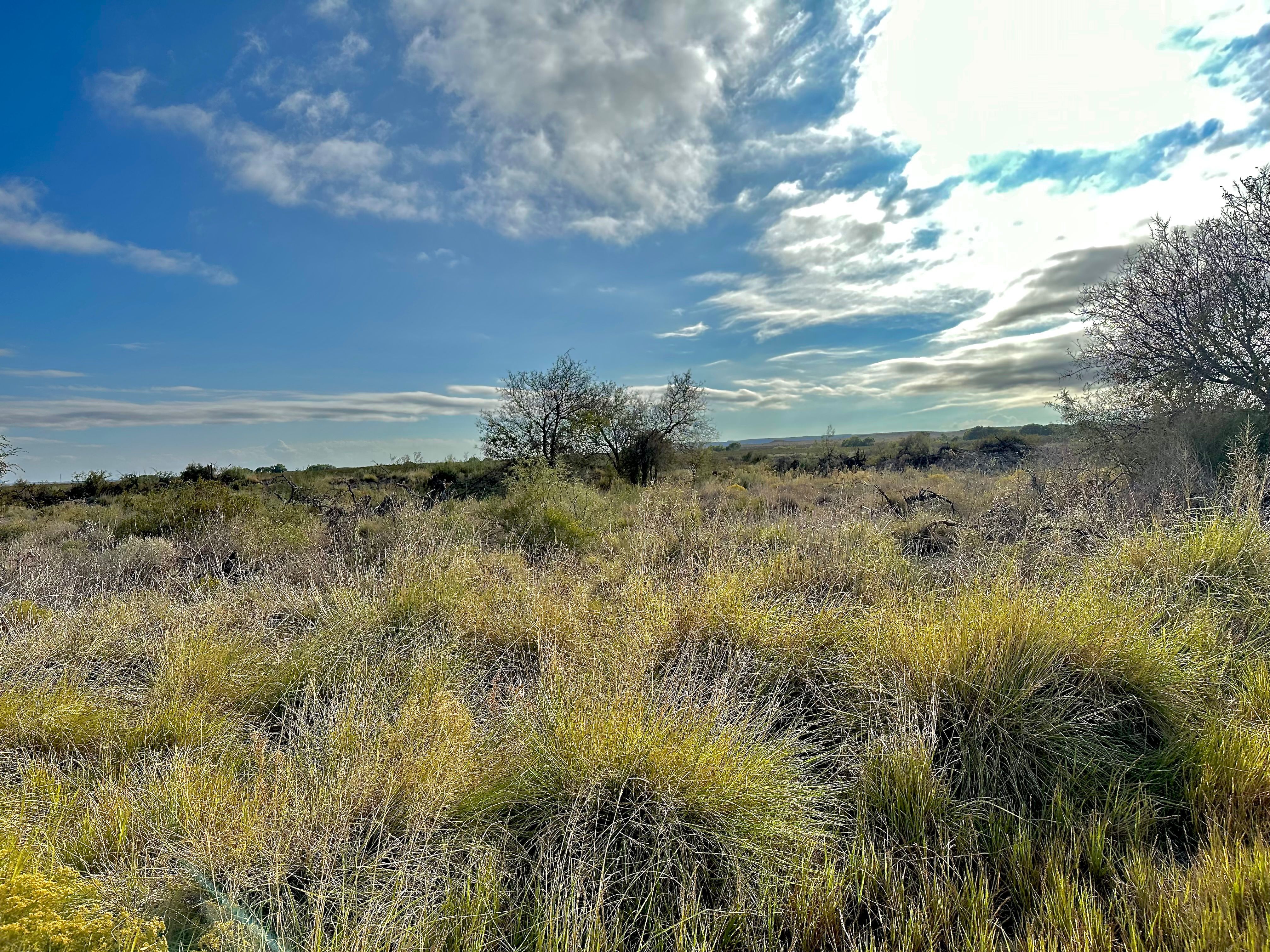  The Alamito Ranch in Presidio County - 物件實景