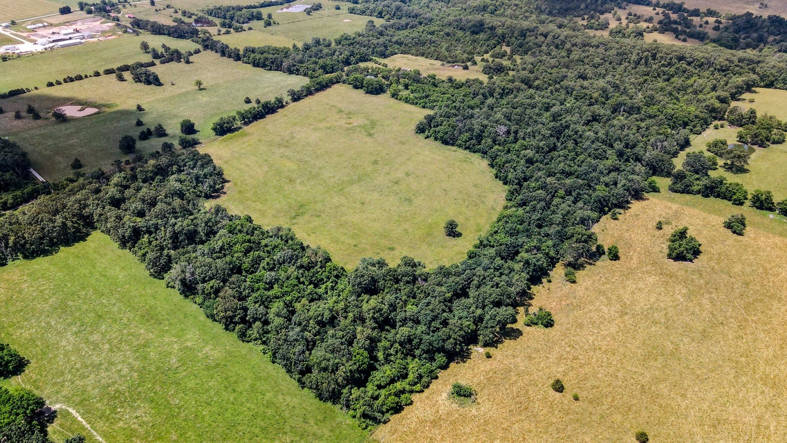 Peace Valley, Missouri, 65788, United States, 5 Bedrooms Bedrooms, ,1 BathroomBathrooms,Residential,For Sale,1980940