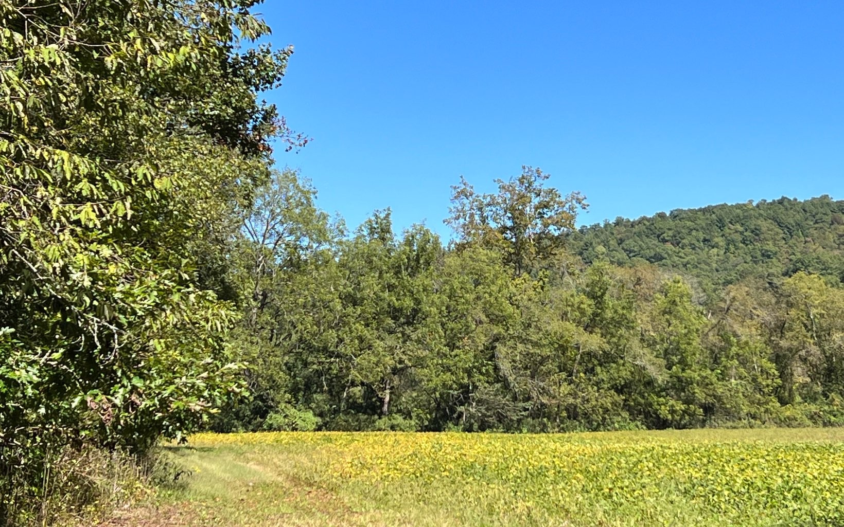 Hayesville, North Carolina, 28904, United States, ,Residential,For Sale,1943293