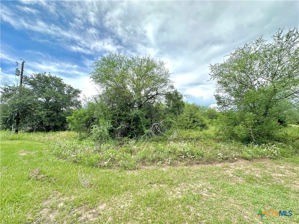 Nursery, Texas, 77976, United States, ,Land,For Sale,1885536