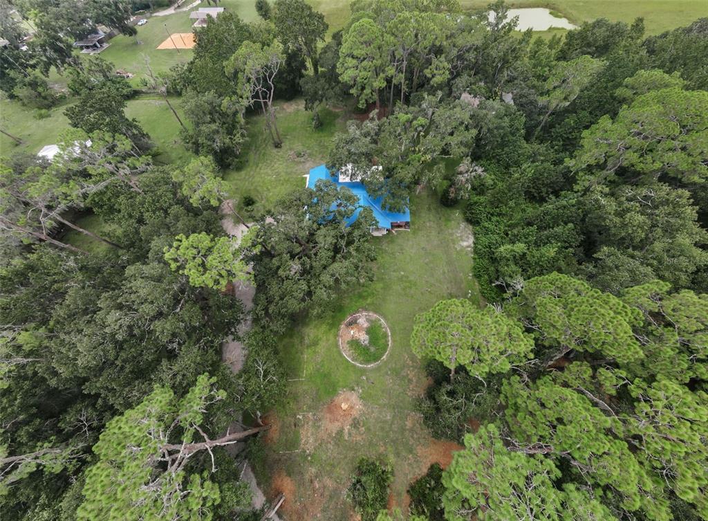Plant City, Florida, 33566, United States, 3 Bedrooms Bedrooms, ,2 BathroomsBathrooms,Residential,For Sale,1932483
