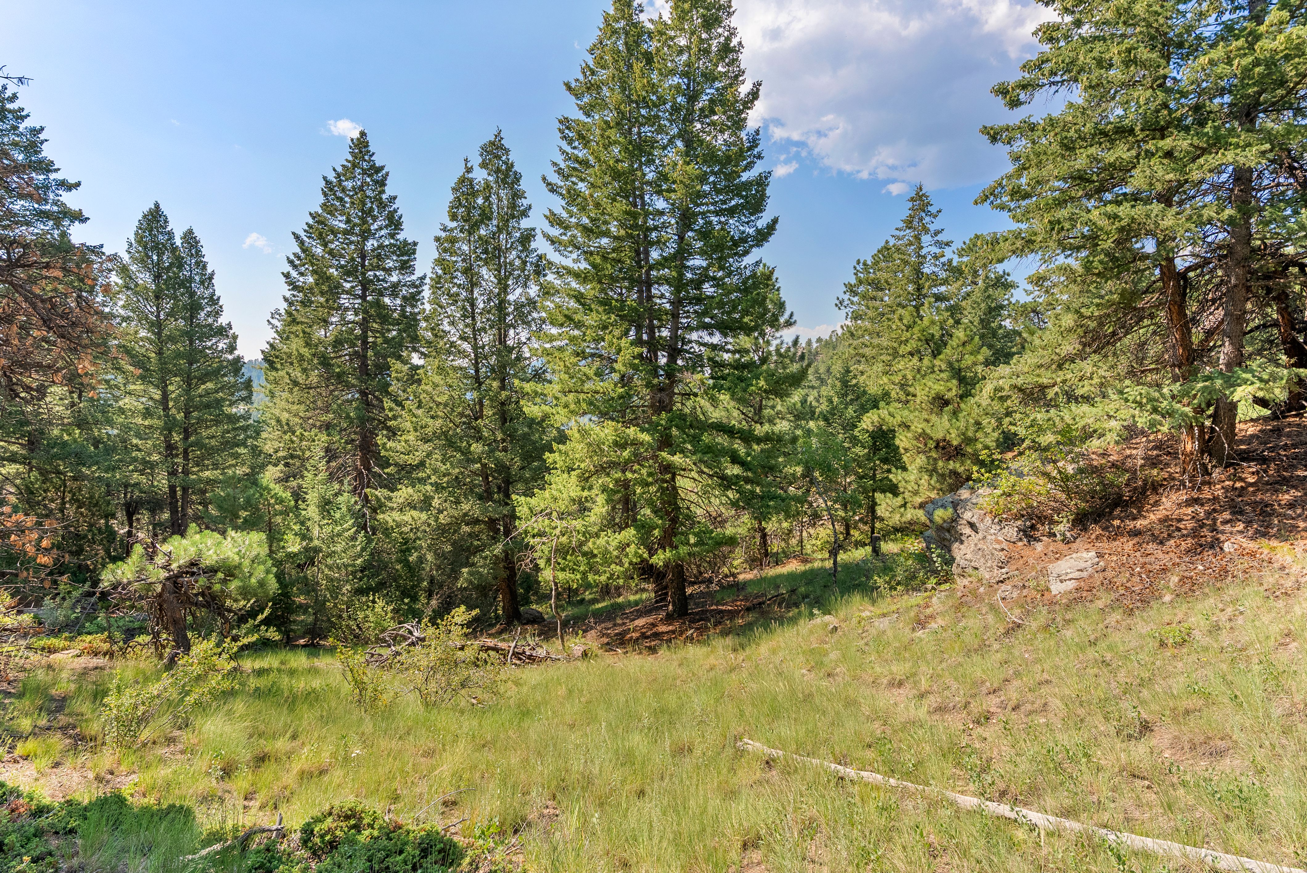  Acreage Available in Evergreen
