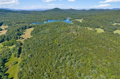 Blairsville, Georgia, 30512, United States, ,Land,For Sale,1933654