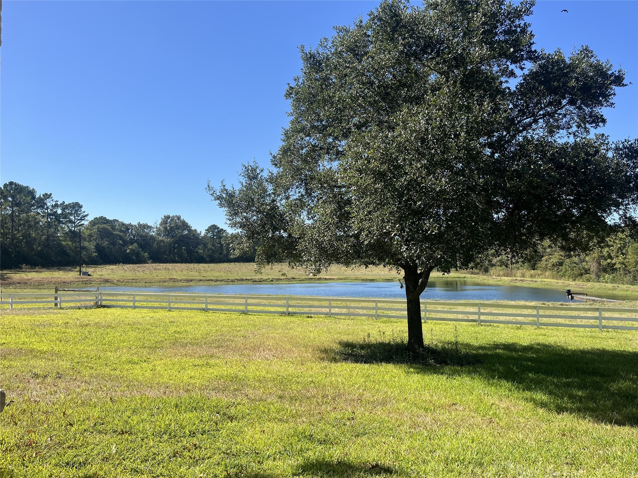 Montgomery, Texas, 77316, United States, 4 Bedrooms Bedrooms, ,3 BathroomsBathrooms,Residential,For Sale,1988300