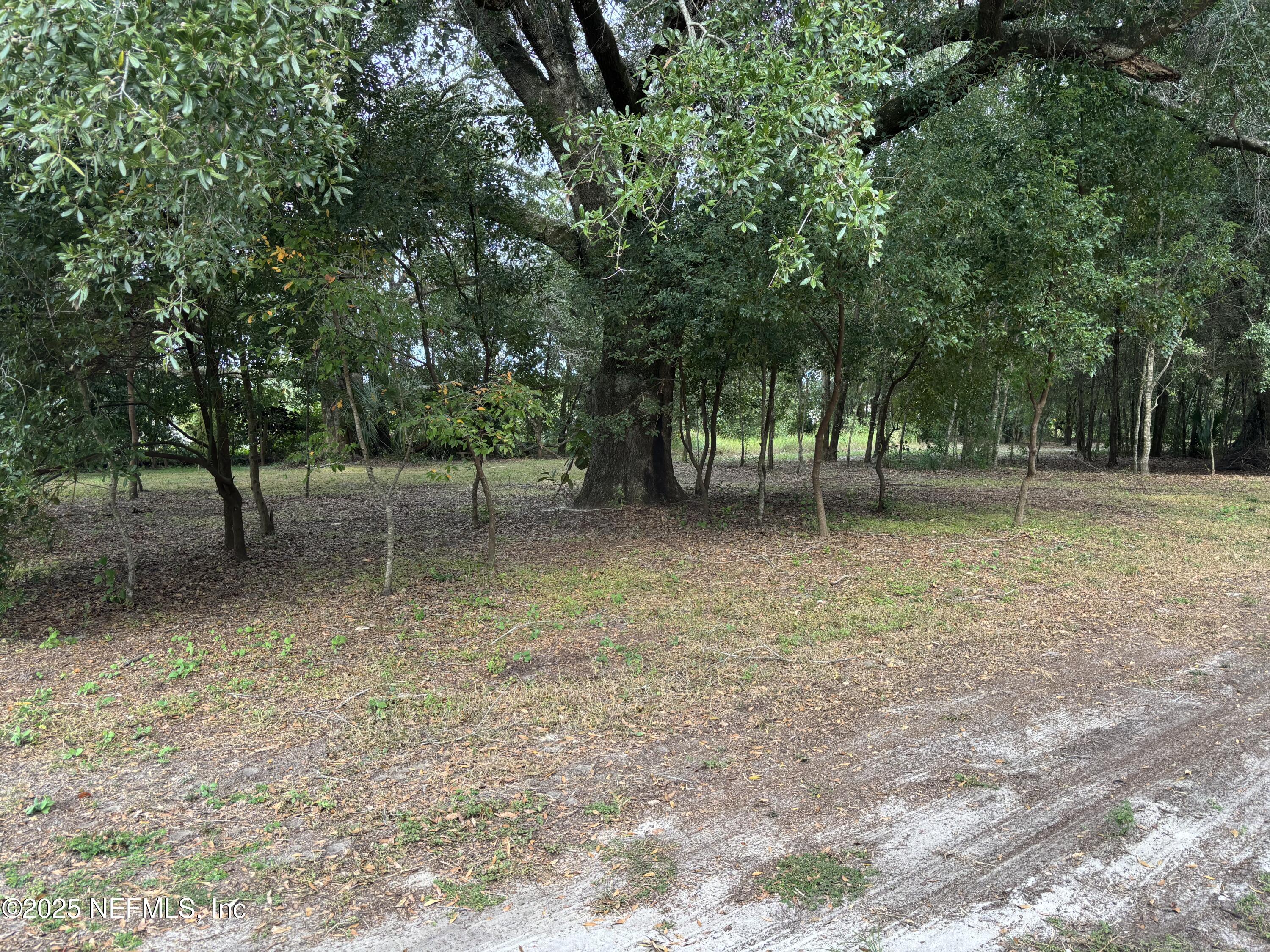 Apopka, Florida, 32227, United States, ,Land,For Sale,2003112