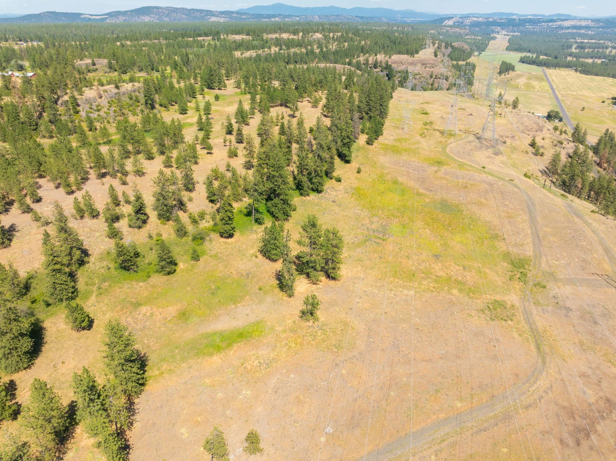 Nine Mile Falls, Washington, 99026, United States, ,Land,For Sale,1960887