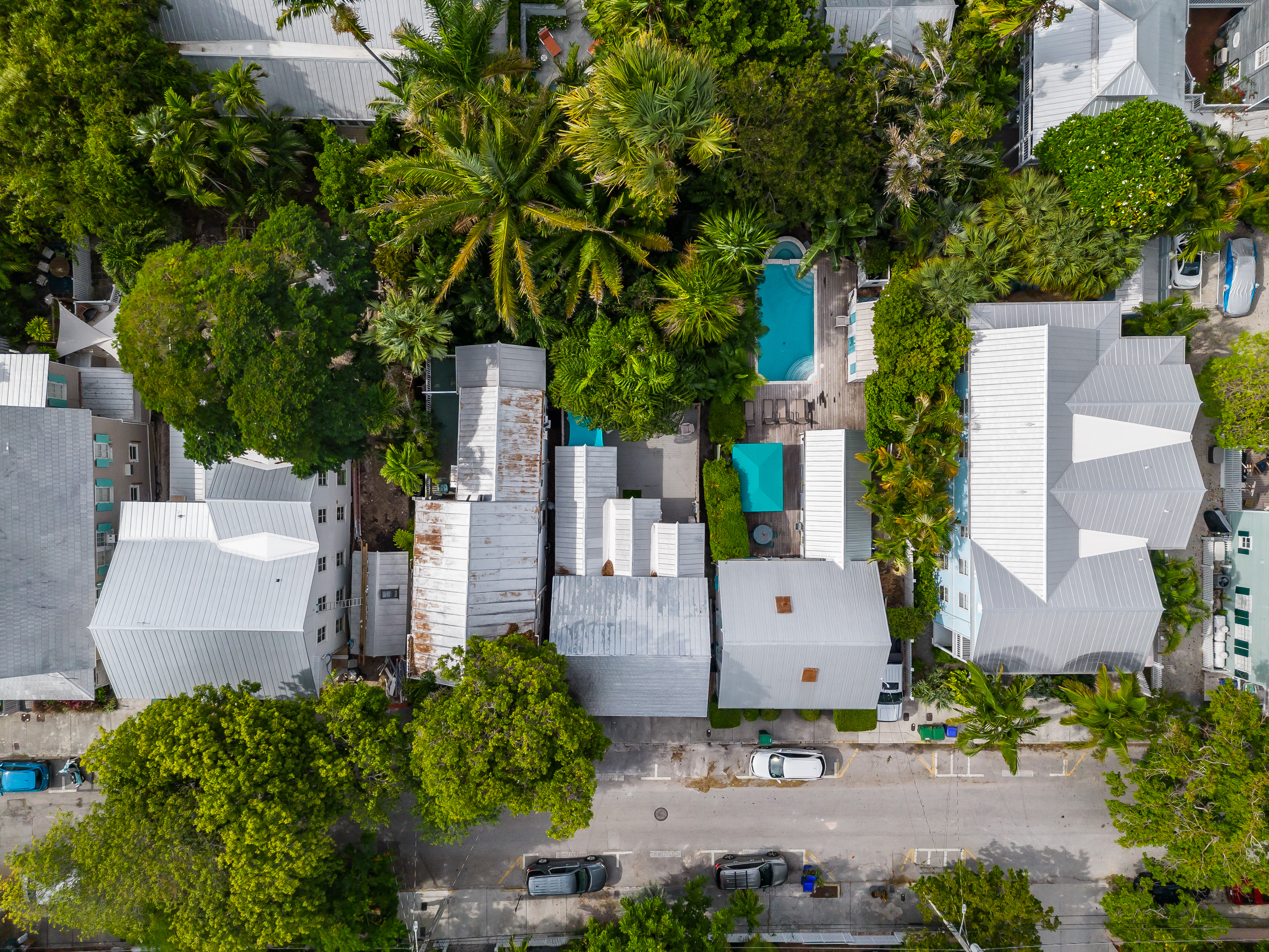  516 Elizabeth Street - 物件實景
