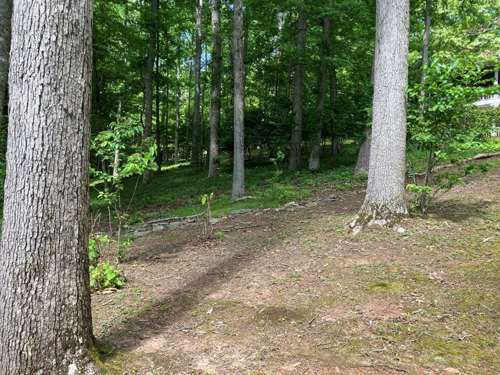 Young Harris, Georgia, 30582, United States, 3 Bedrooms Bedrooms, ,3 BathroomsBathrooms,Residential,For Sale,1847113