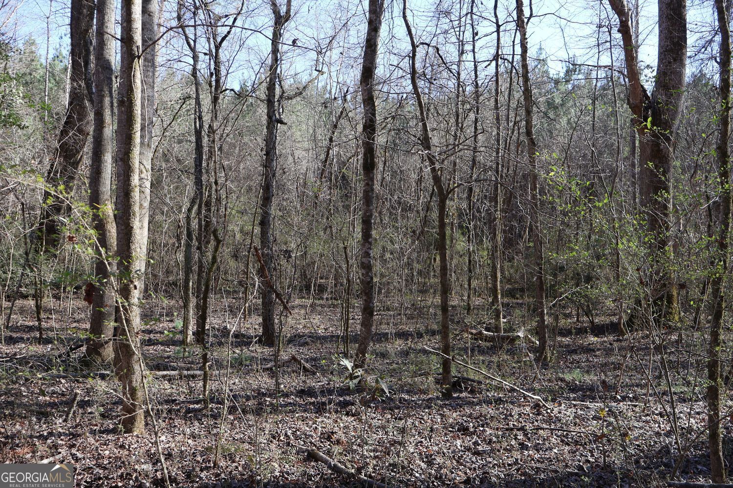 Forsyth, Georgia, 31029, United States, ,Land,For Sale,1907989