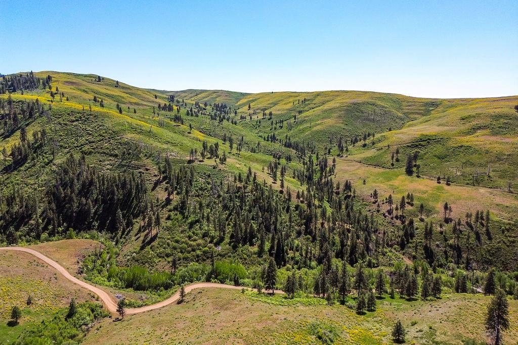 Council, Idaho, 83612, United States, ,Residential,For Sale,1935833