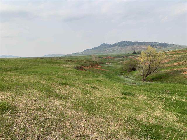 Spearfish, South Dakota, 57783, United States, ,Residential,For Sale,1895101