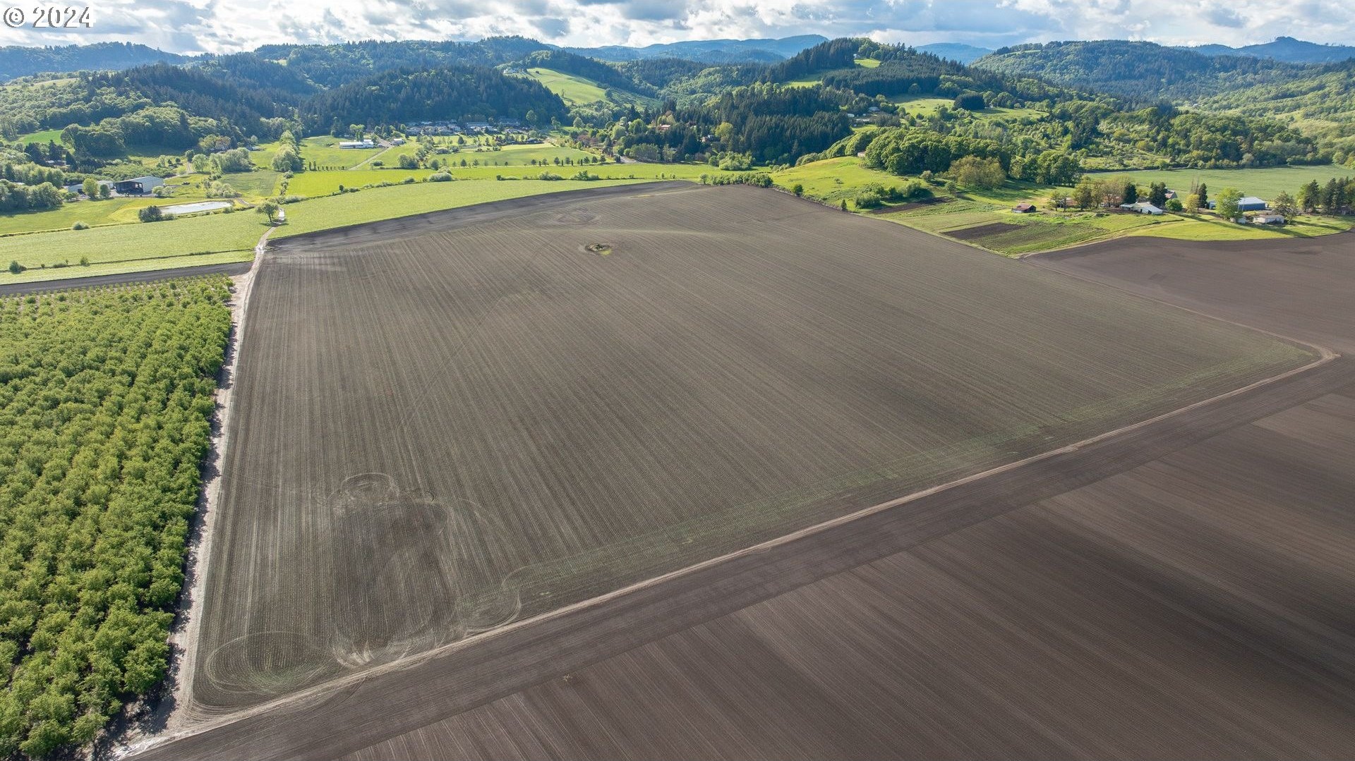0 SW YOUNGBERG HILL RD, McMinnville, Oregon, 97128, United States, ,Land,For Sale,0 SW YOUNGBERG HILL RD,1523694