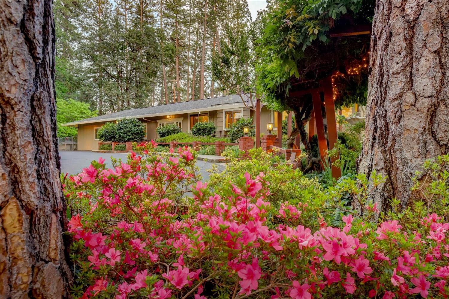 Grass Valley, California, 95949, United States, 3 Bedrooms Bedrooms, ,3 BathroomsBathrooms,Residential,For Sale,1856649
