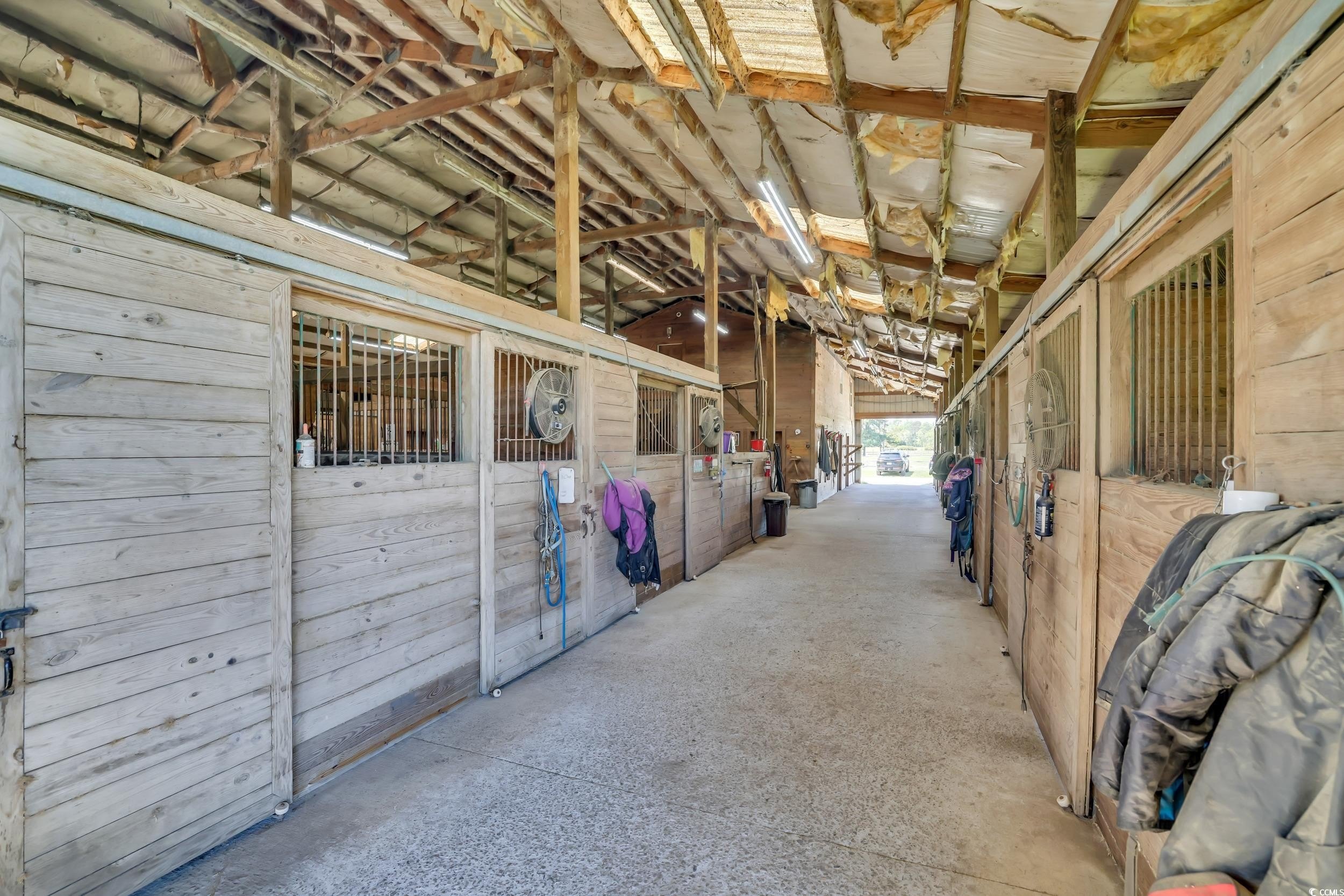 Conway, South Carolina, 29526, United States, ,Land,For Sale,1974843