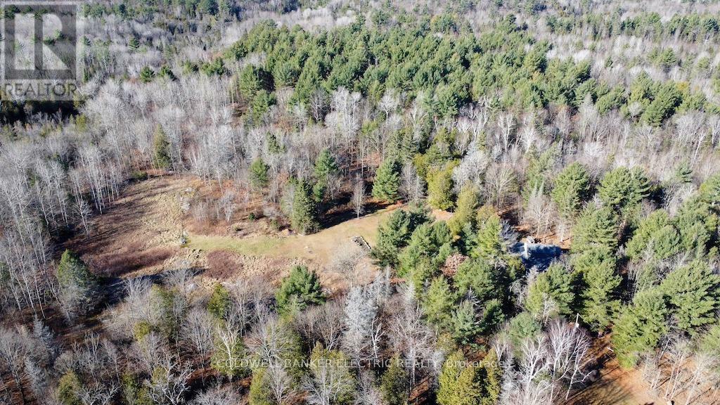 NORTH KAWARTHA, Ontario, K0L 1A0, CA, 3 Bedrooms Bedrooms, ,1 BathroomBathrooms,Residential,For Sale,1828258
