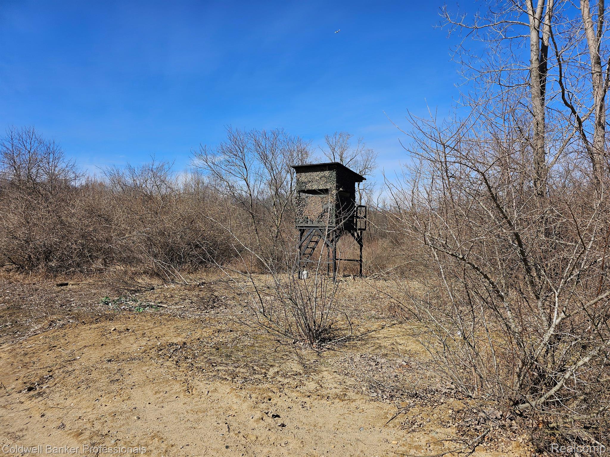 Metamora, Michigan, 48455, United States, ,Land,For Sale,1736755