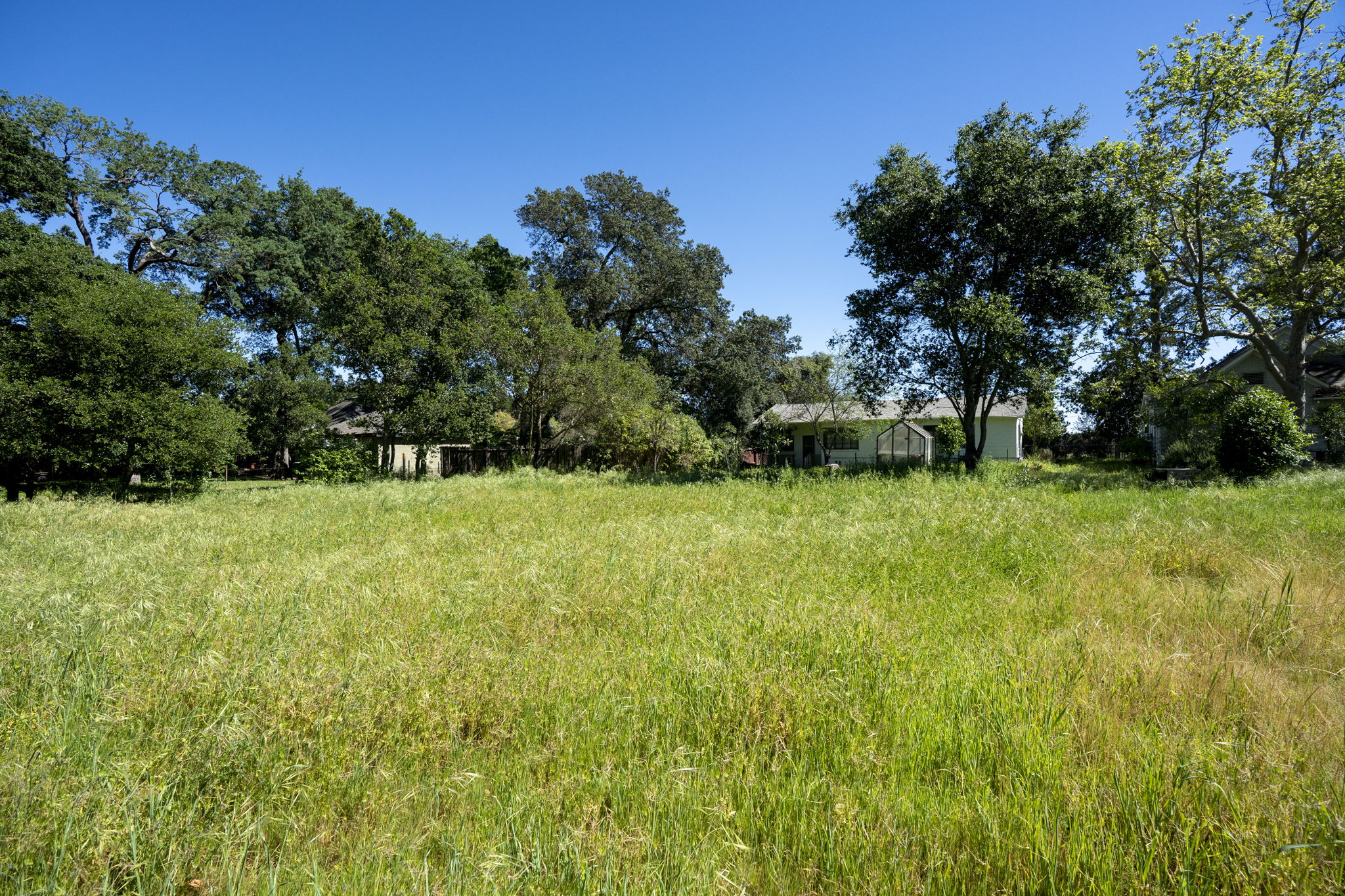  1446 Sulphur Springs Ave - Saint Helena - 物件實景