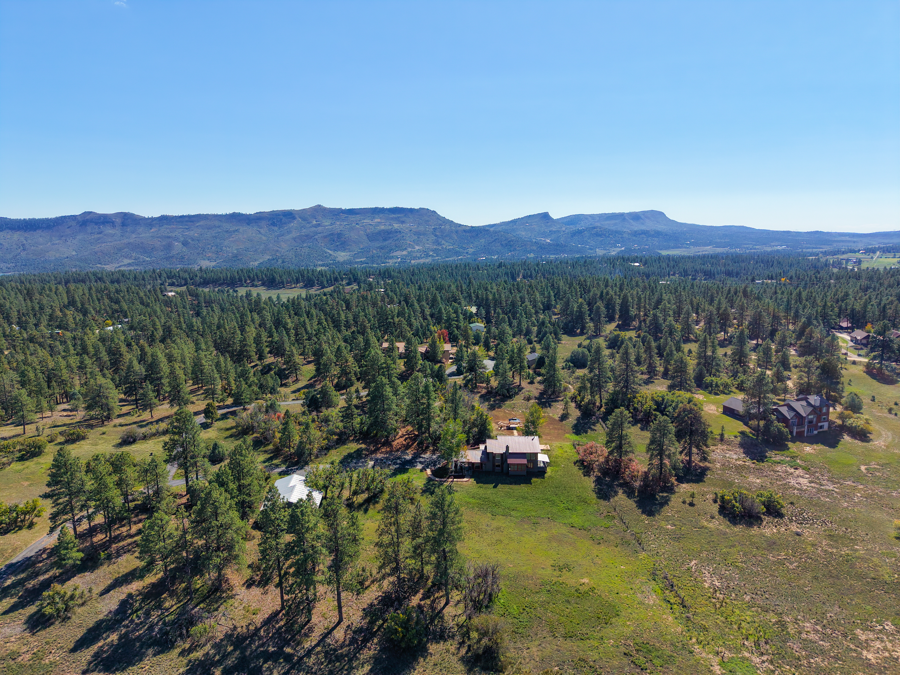  217 South Elk Run, Durango, CO 81303 - 物件實景