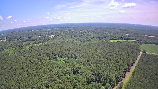 Reevesville, South Carolina, 29471, United States, ,Land,For Sale,1868815
