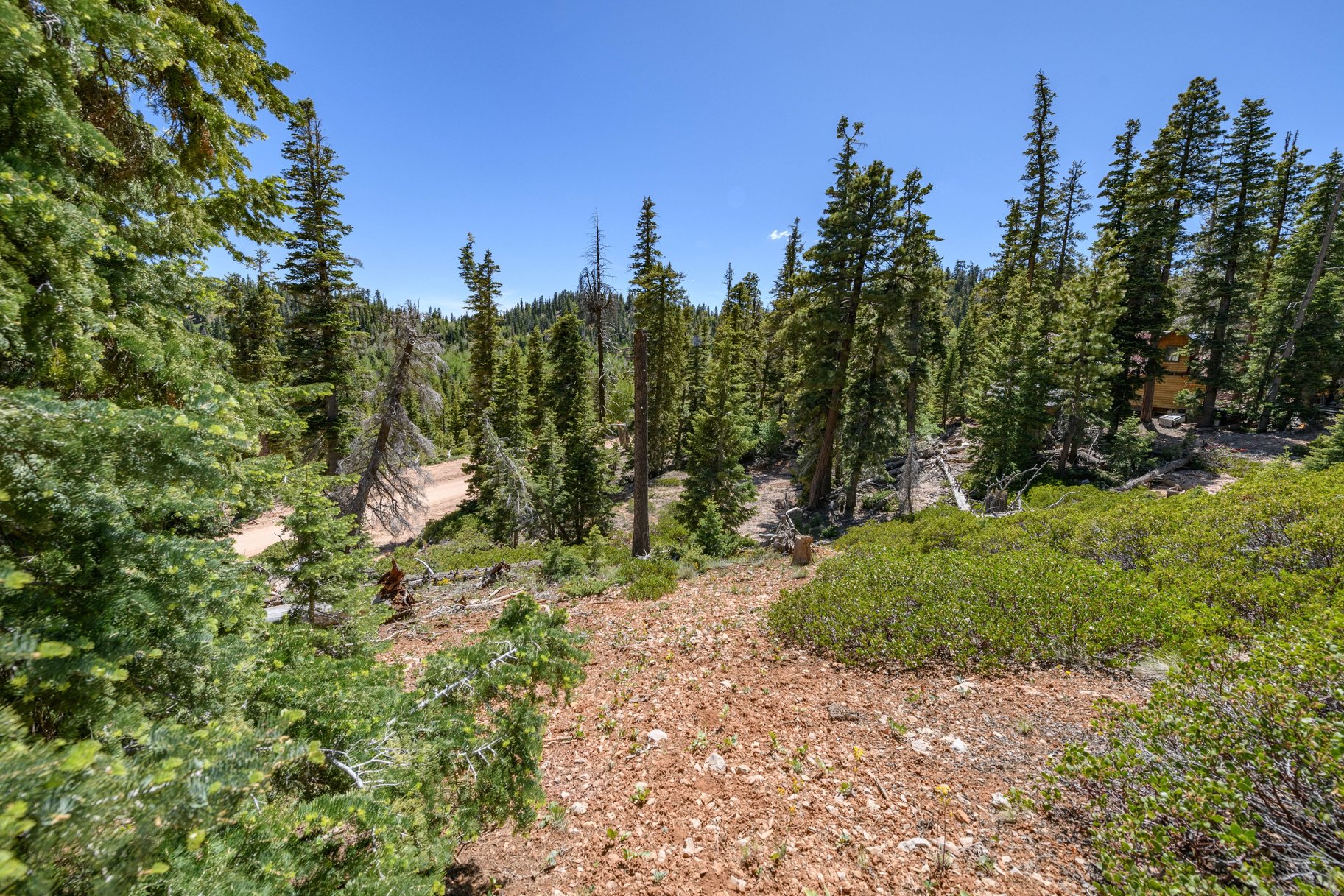  Quiet Mountain Retreat Near Navajo Lake - 物件實景