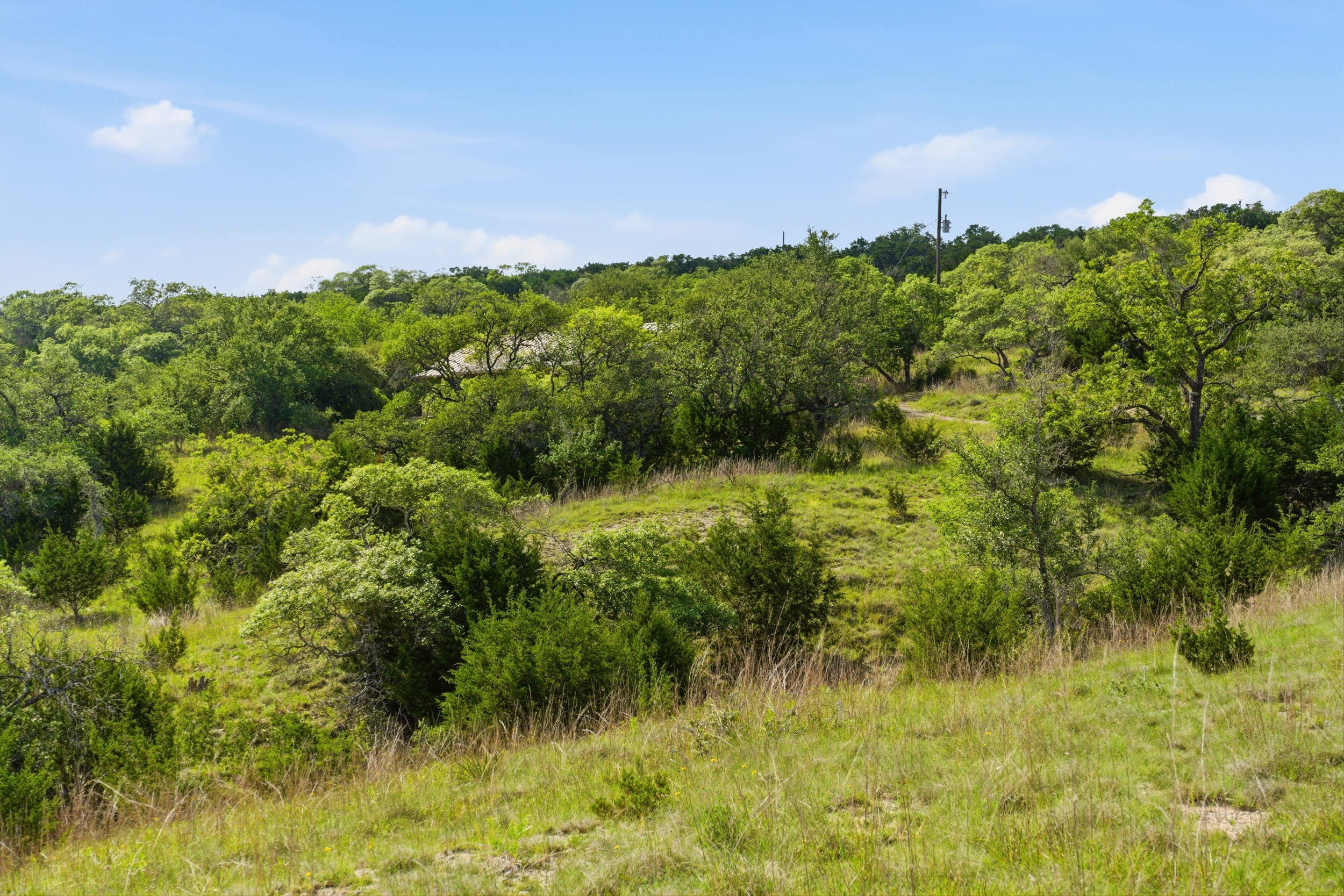  72+/- Acre Palmetto Creek Ranch - 物件實景