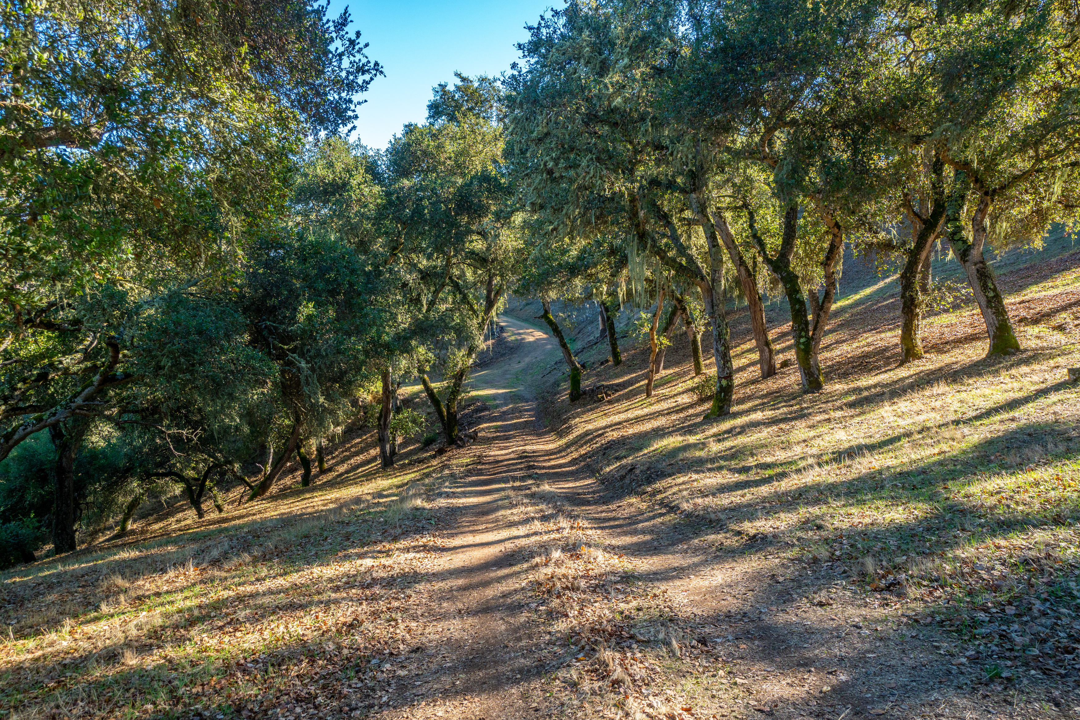  17114 Cachagua Road - 物件實景
