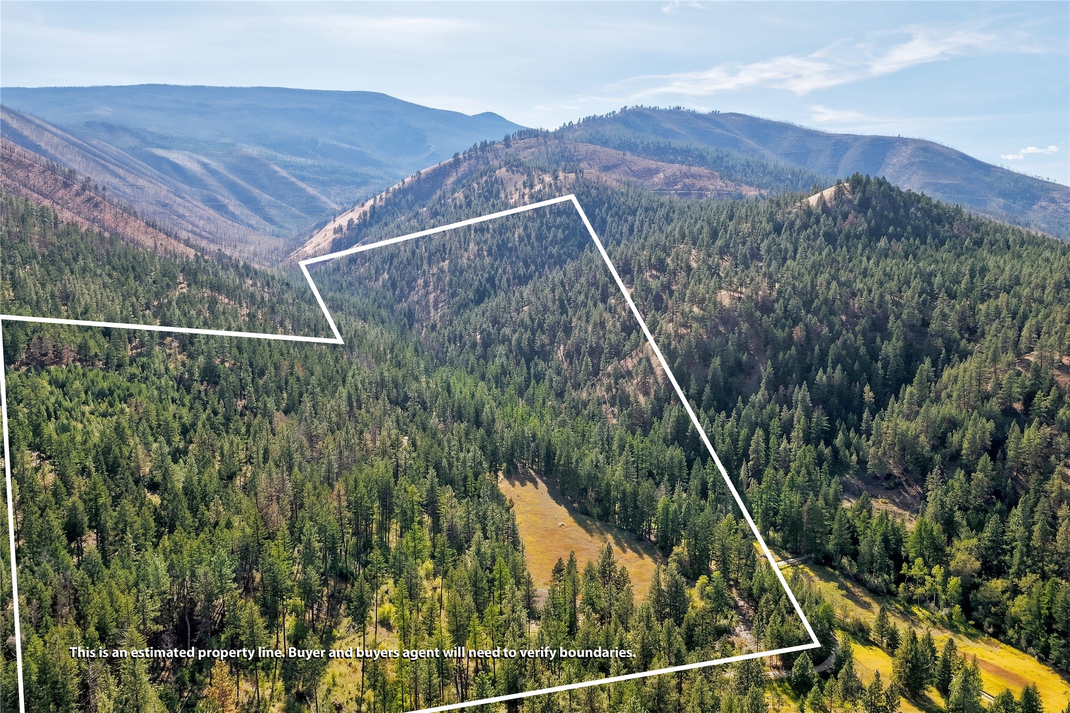   - 物件實景