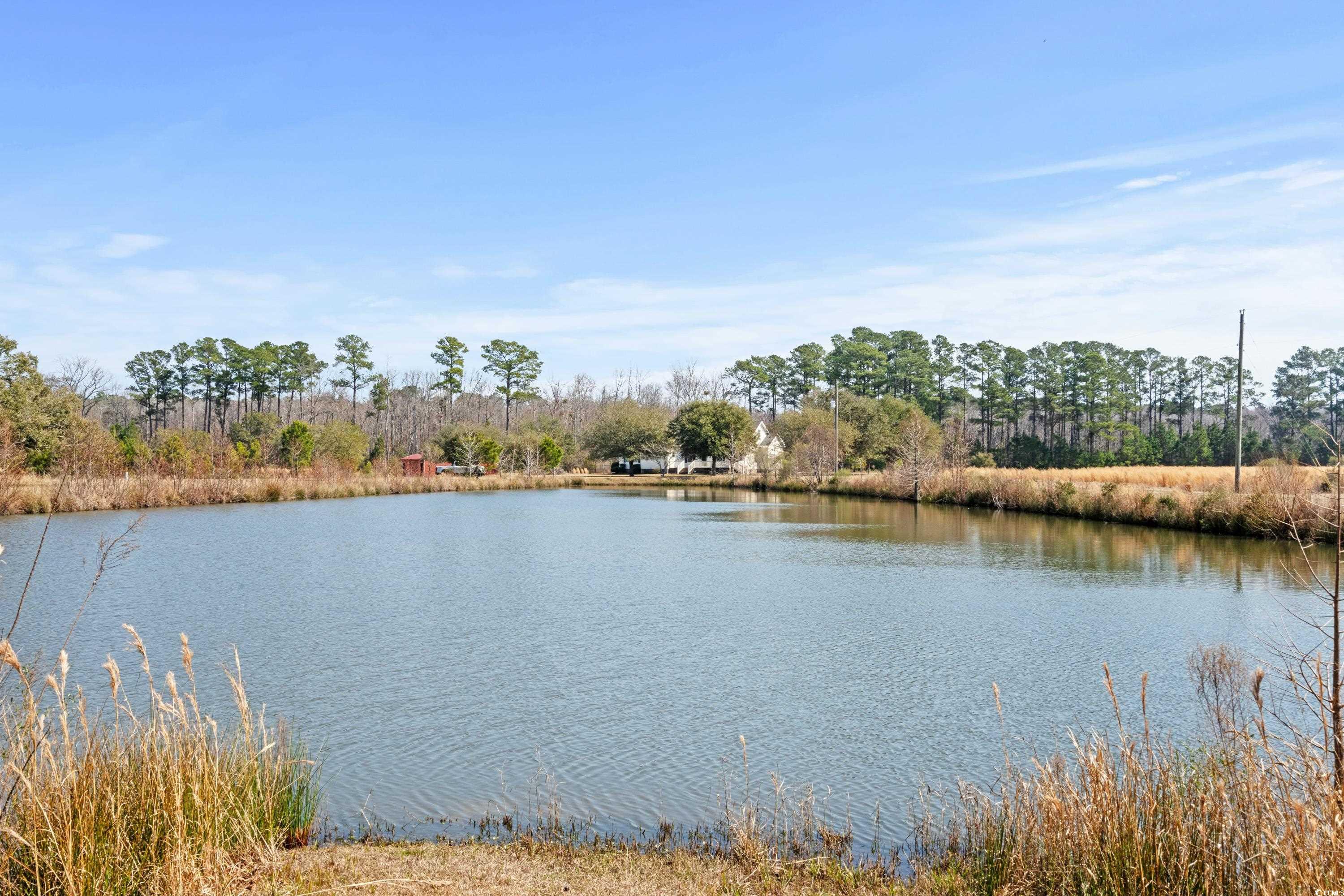 Longs, South Carolina, 29568, United States, ,Land,For Sale,1838298