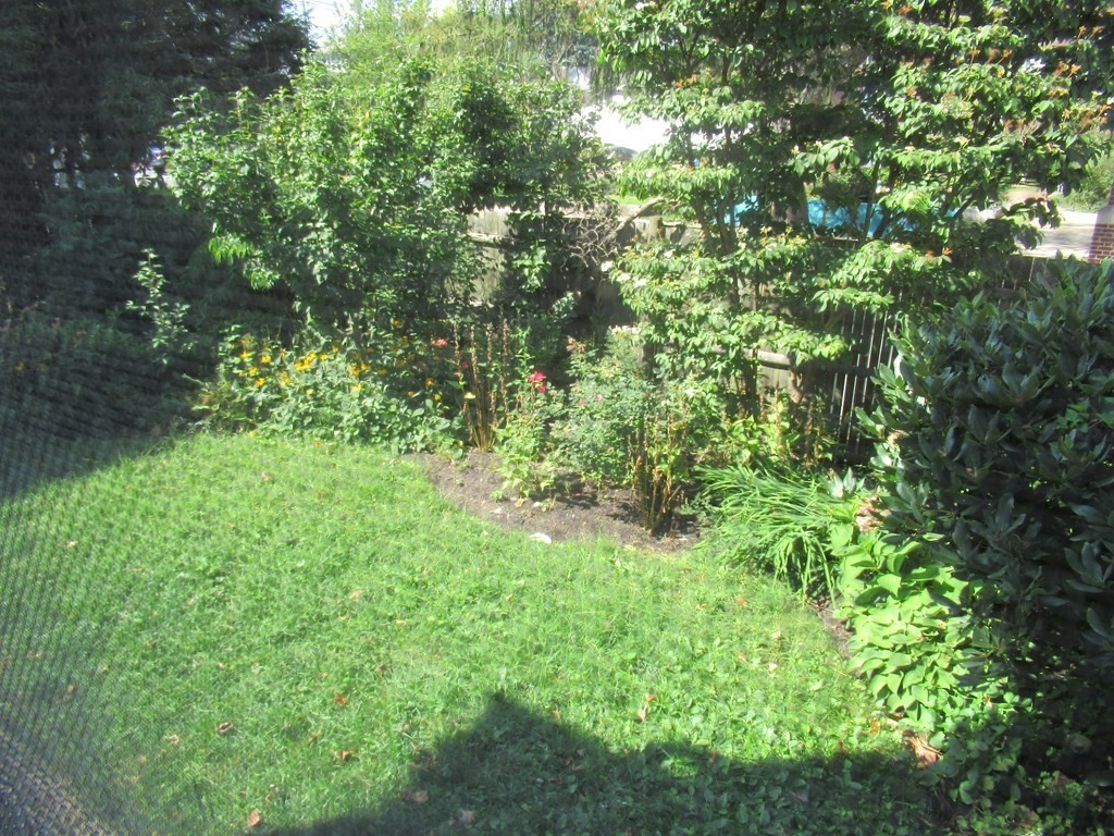 Salem, Massachusetts, 01970, United States, 4 Bedrooms Bedrooms, ,2 BathroomsBathrooms,Residential,For Sale,1846004