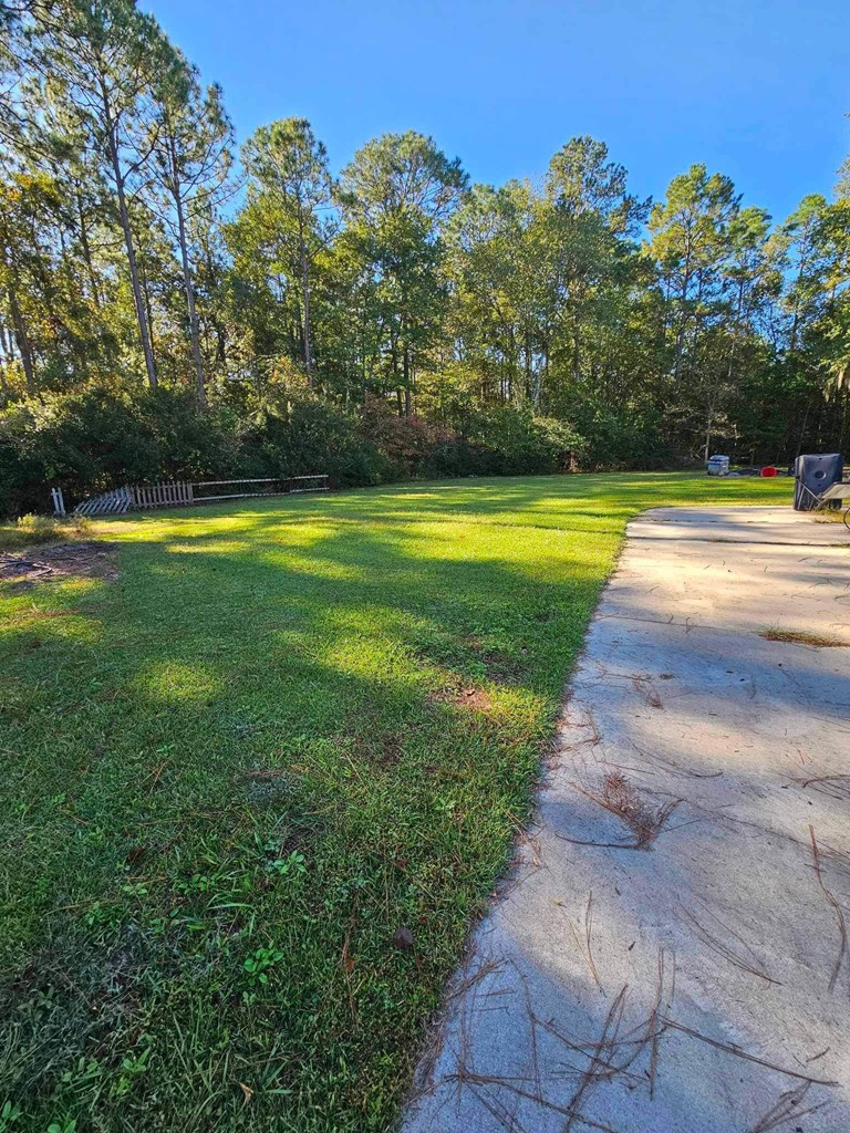 5278 NE Elim Church Road Ne Road, Ludowici, Georgia, 31316, United States, 3 Bedrooms Bedrooms, ,2 BathroomsBathrooms,Residential,For Sale,5278 NE Elim Church Road Ne Road,1437237