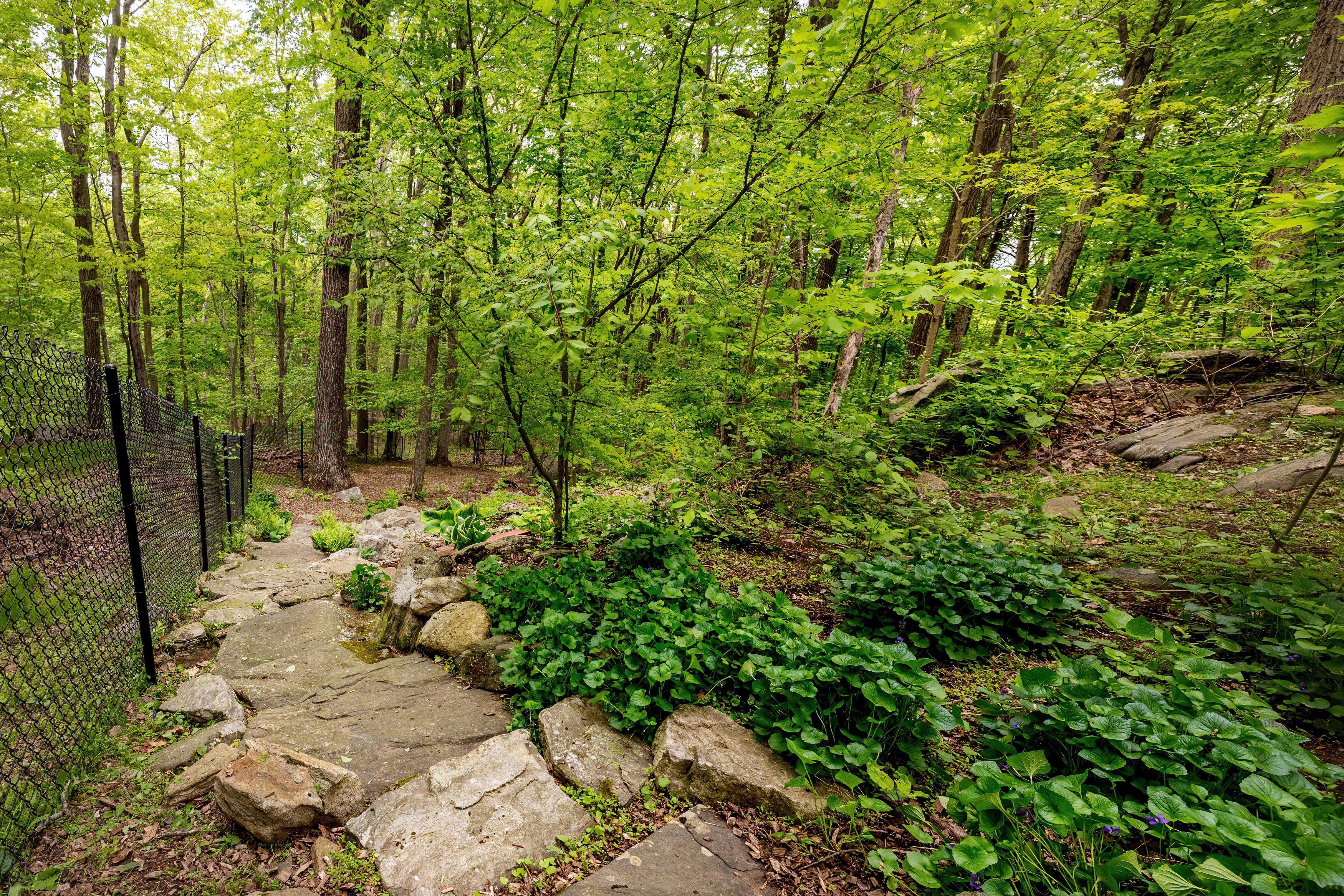  Ridgefield Gem: 3-Bedroom Beauty - 物件實景