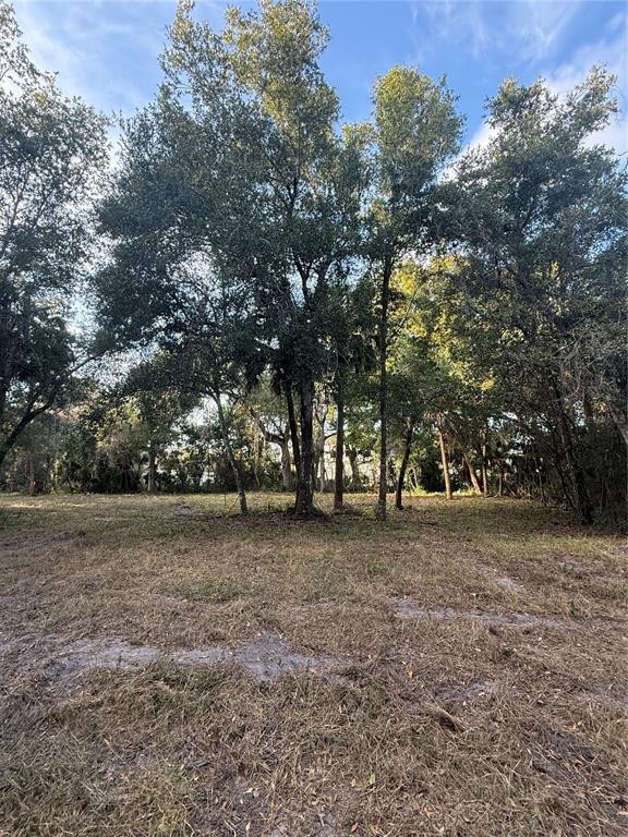 Palm Coast, Florida, 32137, United States, ,Land,For Sale,2000398