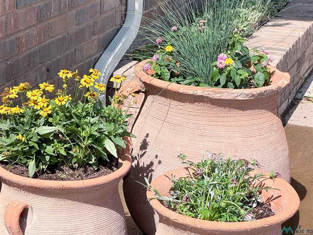 Artesia, New Mexico, 88210, United States, 4 Bedrooms Bedrooms, ,4 BathroomsBathrooms,Residential,For Sale,1980233