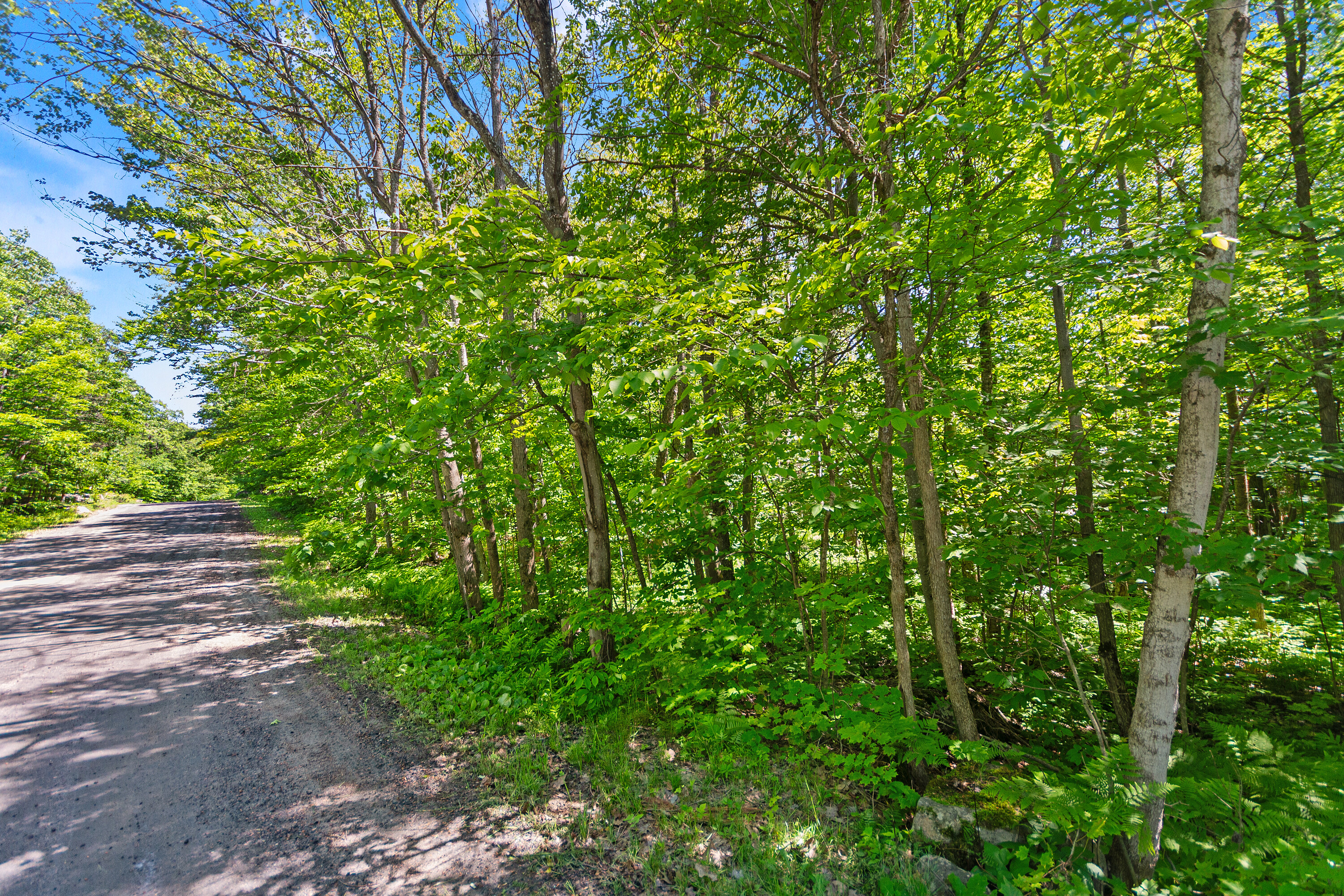 Parry Sound Area Building Lot - 物件實景