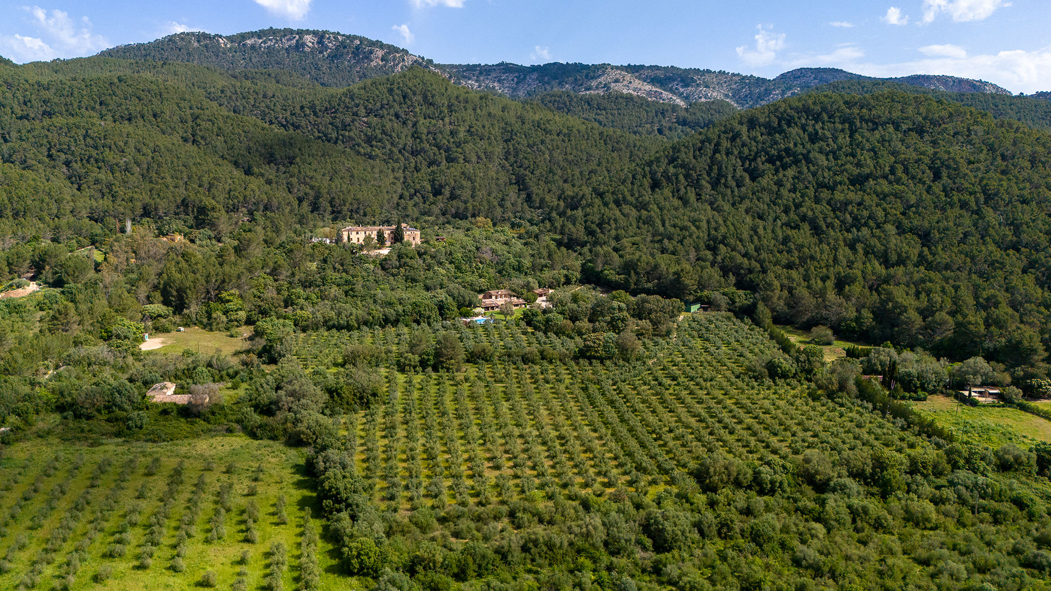  Country house with pool and mountain views in Esporlas - 物件實景