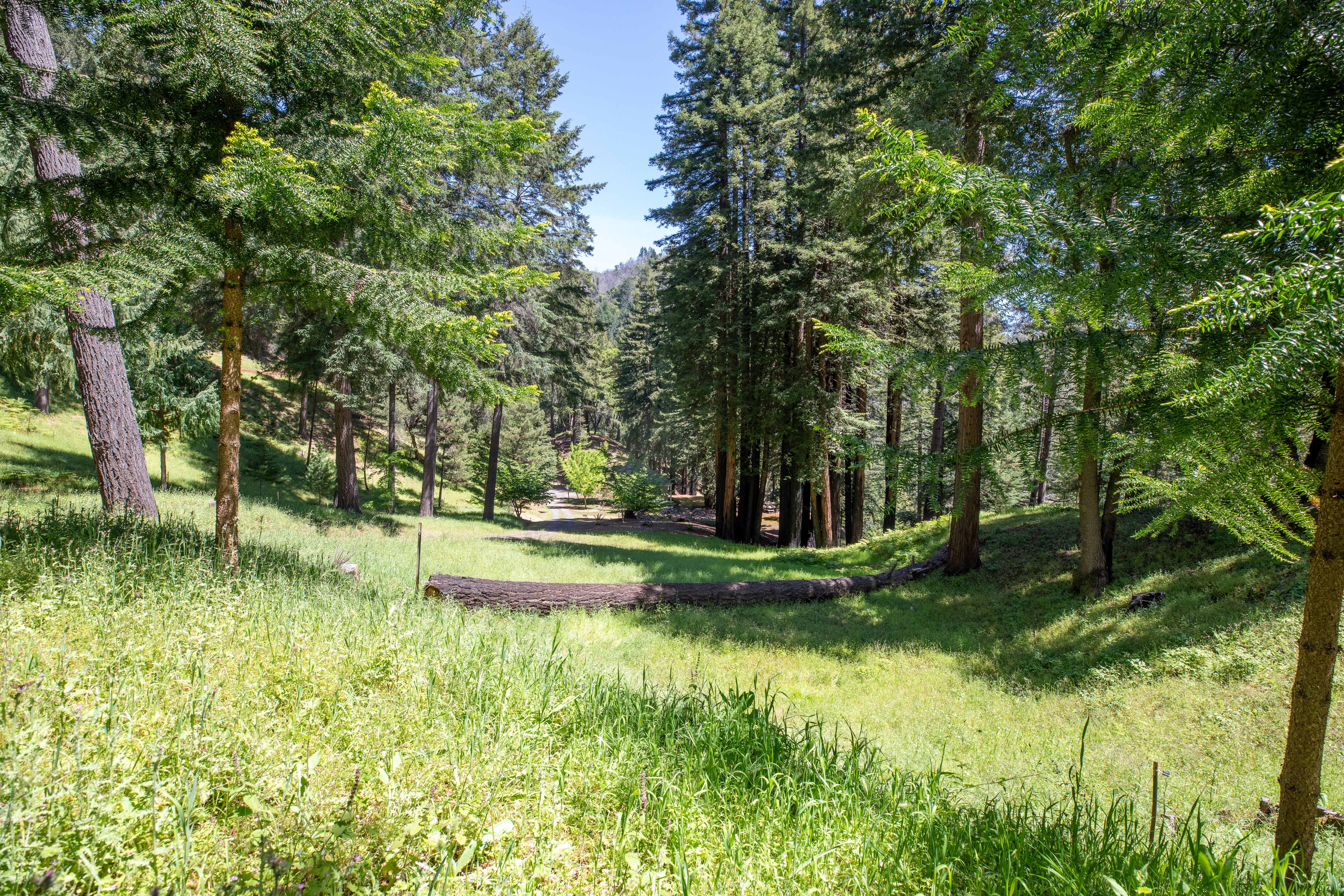  18900 Armstrong Woods Road, Guerneville, CA 95446 - 物件實景